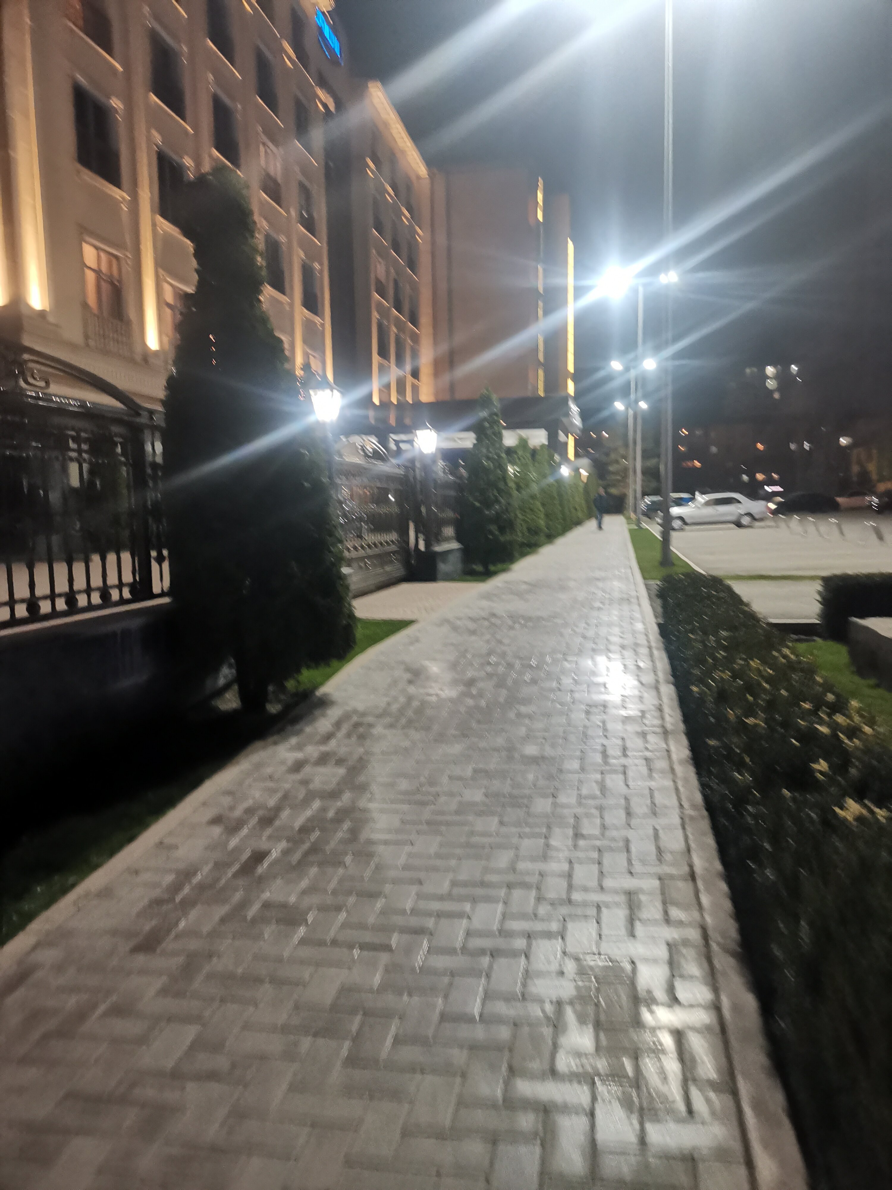 Фото Orion Hotel