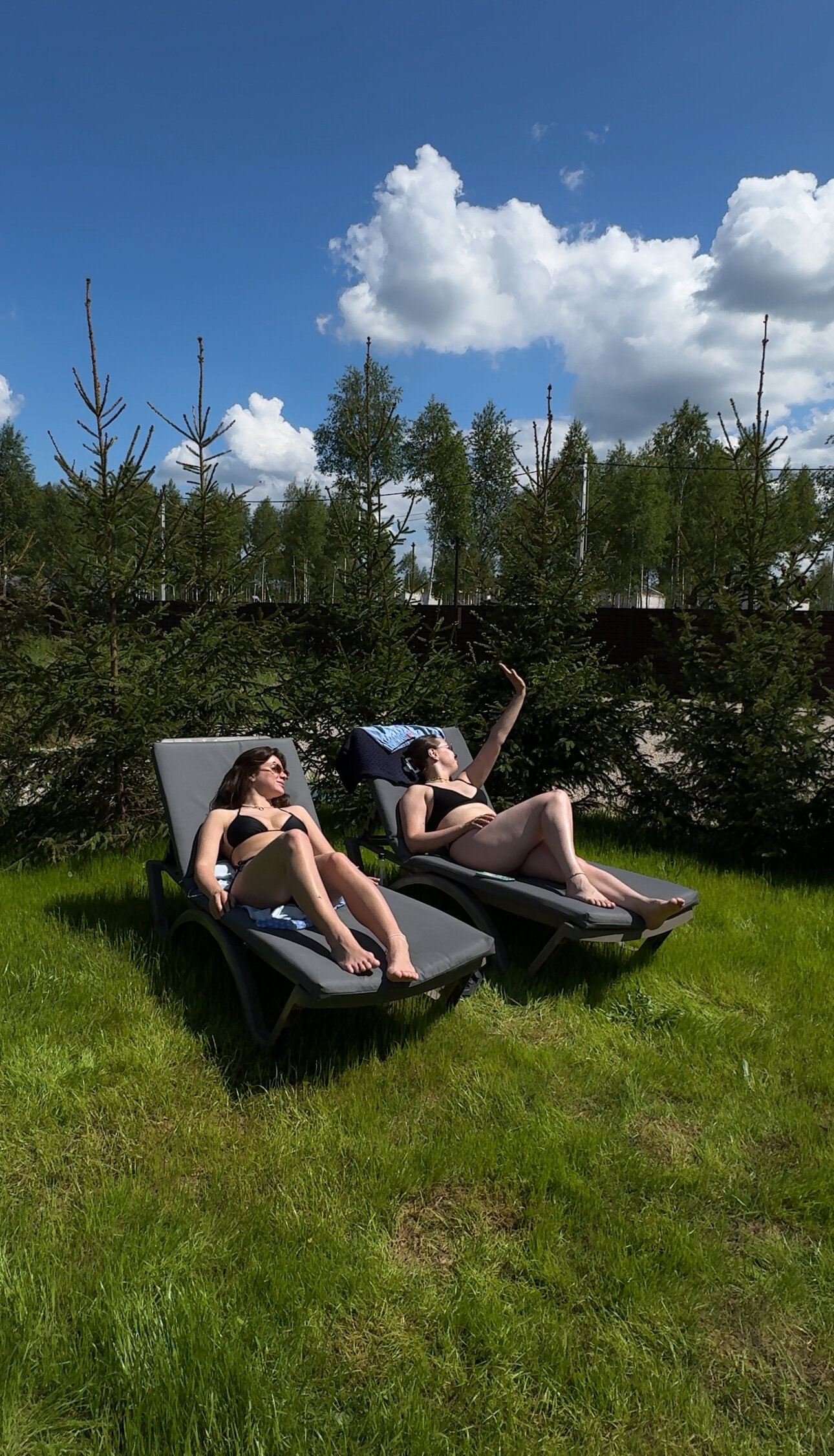 Фото Сканди Лайф