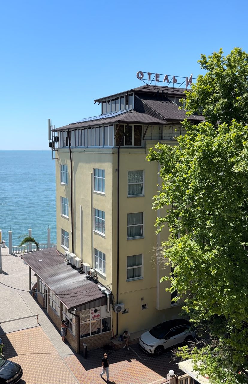 Фото Дельфин