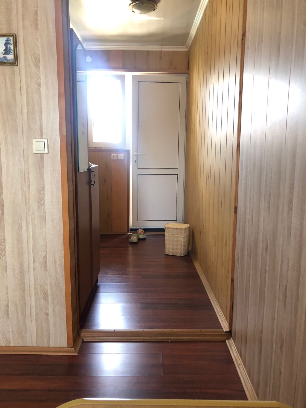 Фото Солнышко