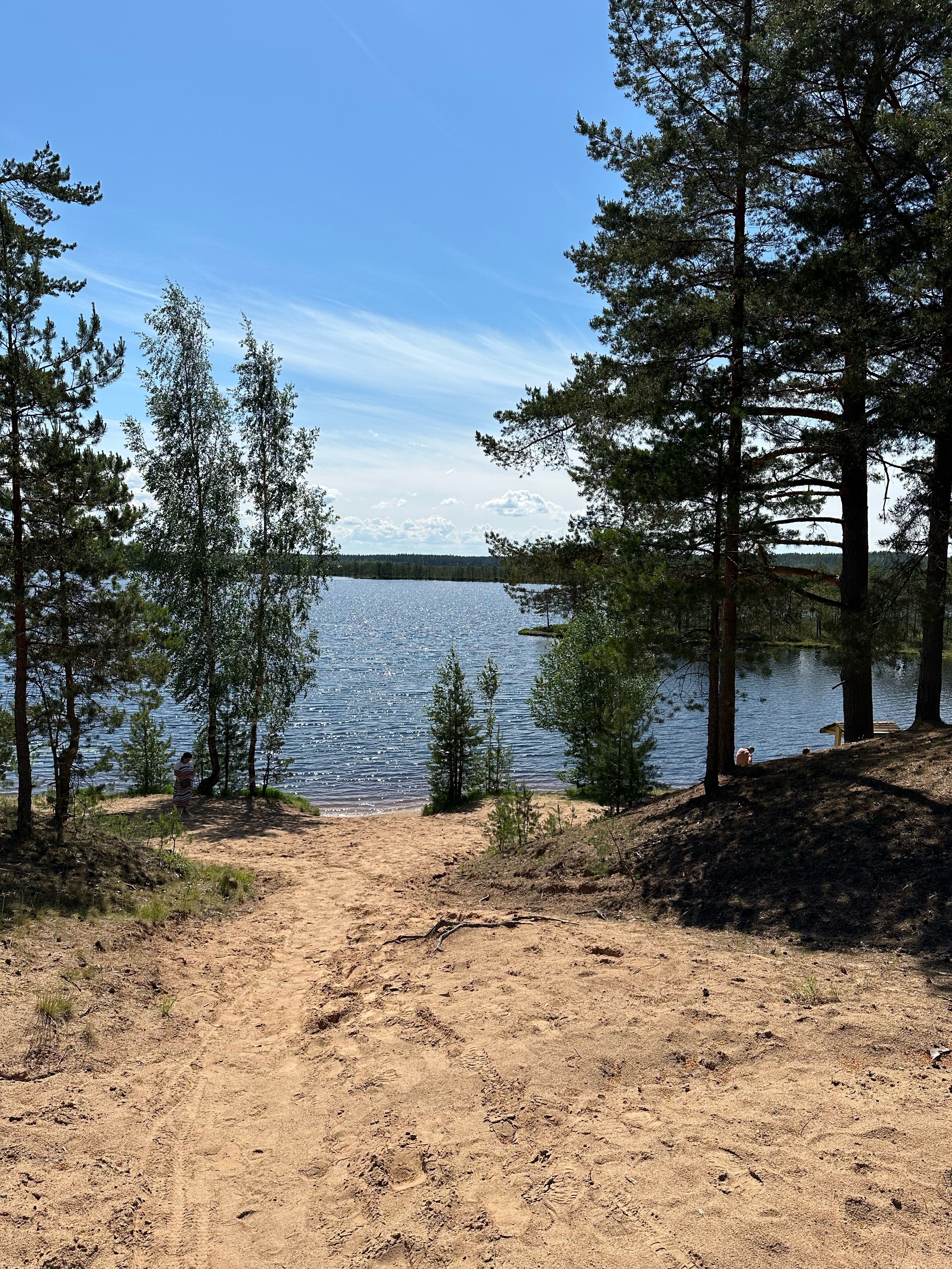 Фото Домики под соснами