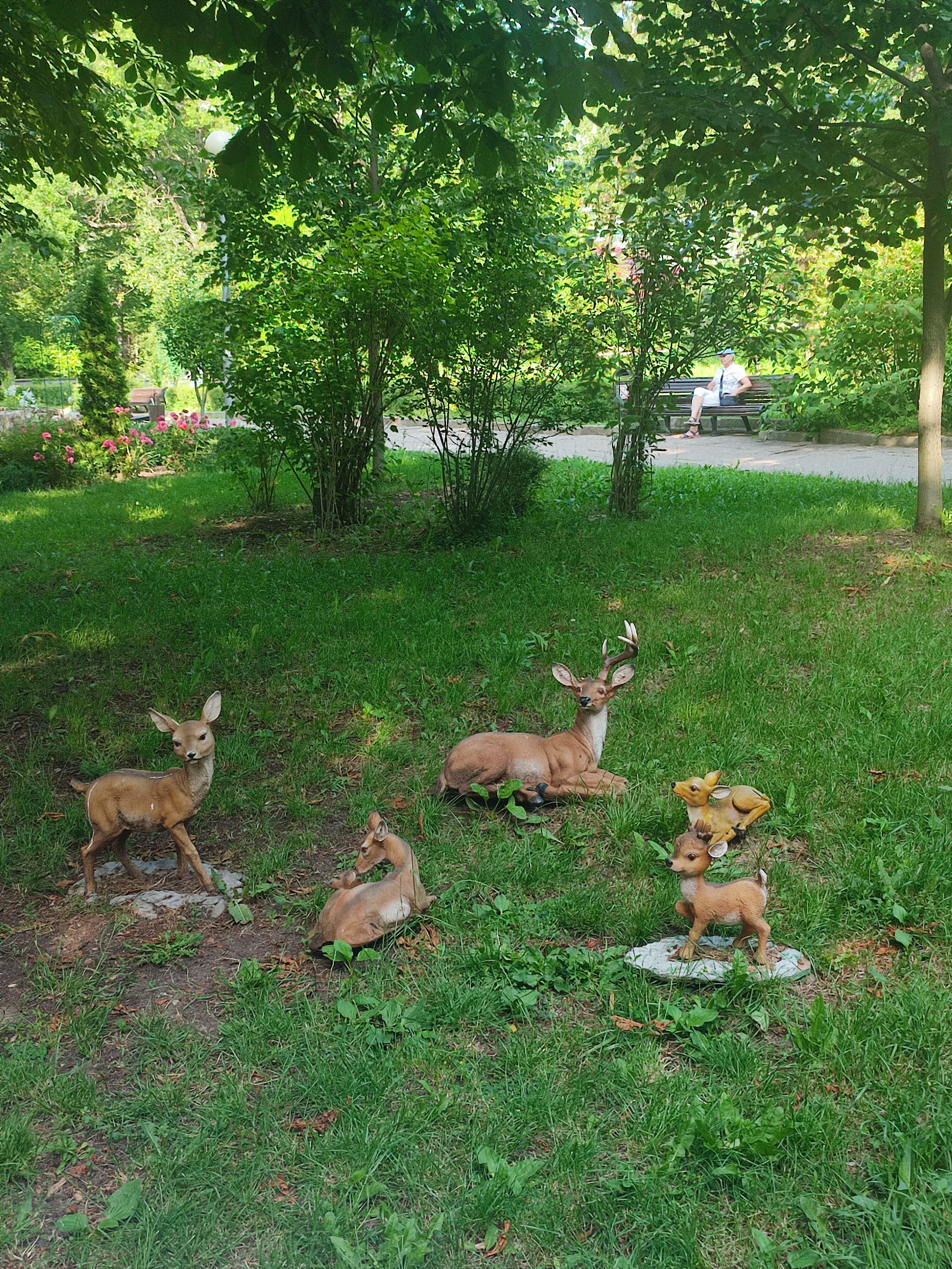 Фото Лесная поляна