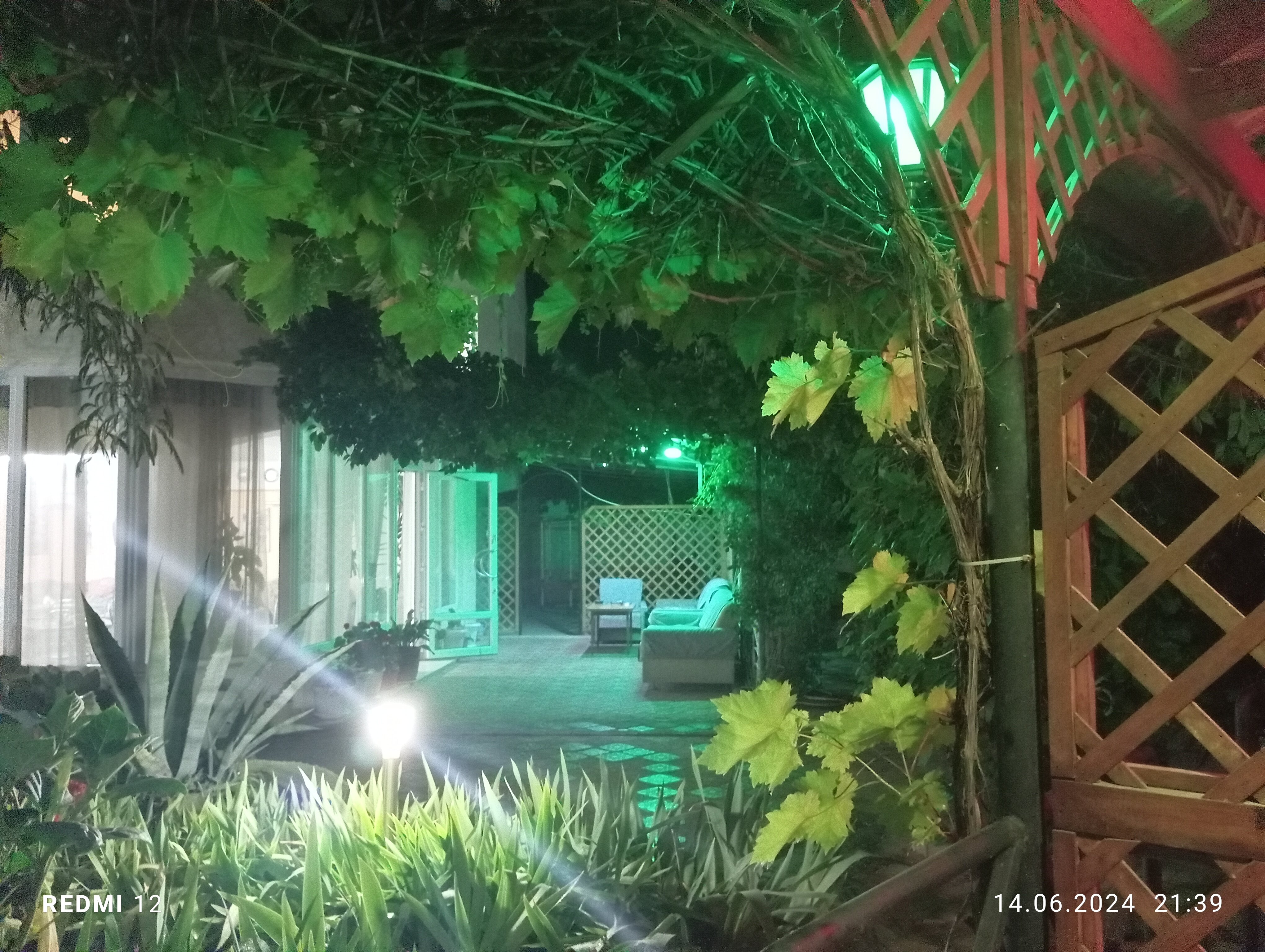 Фото Московский