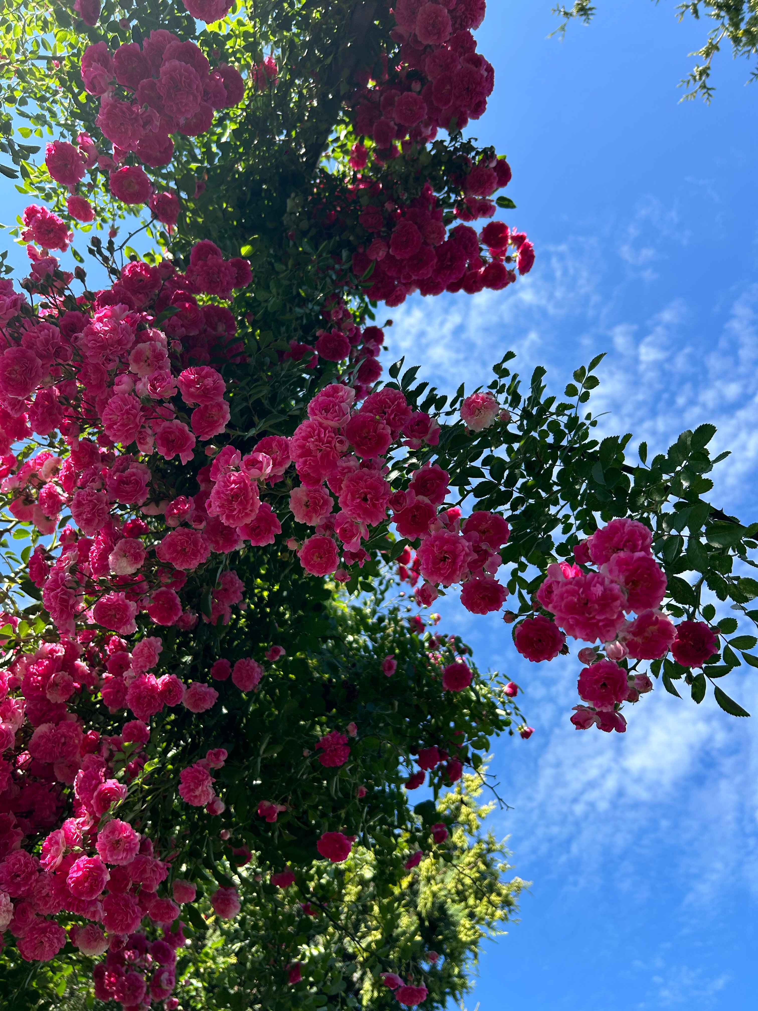 Фото Провинция