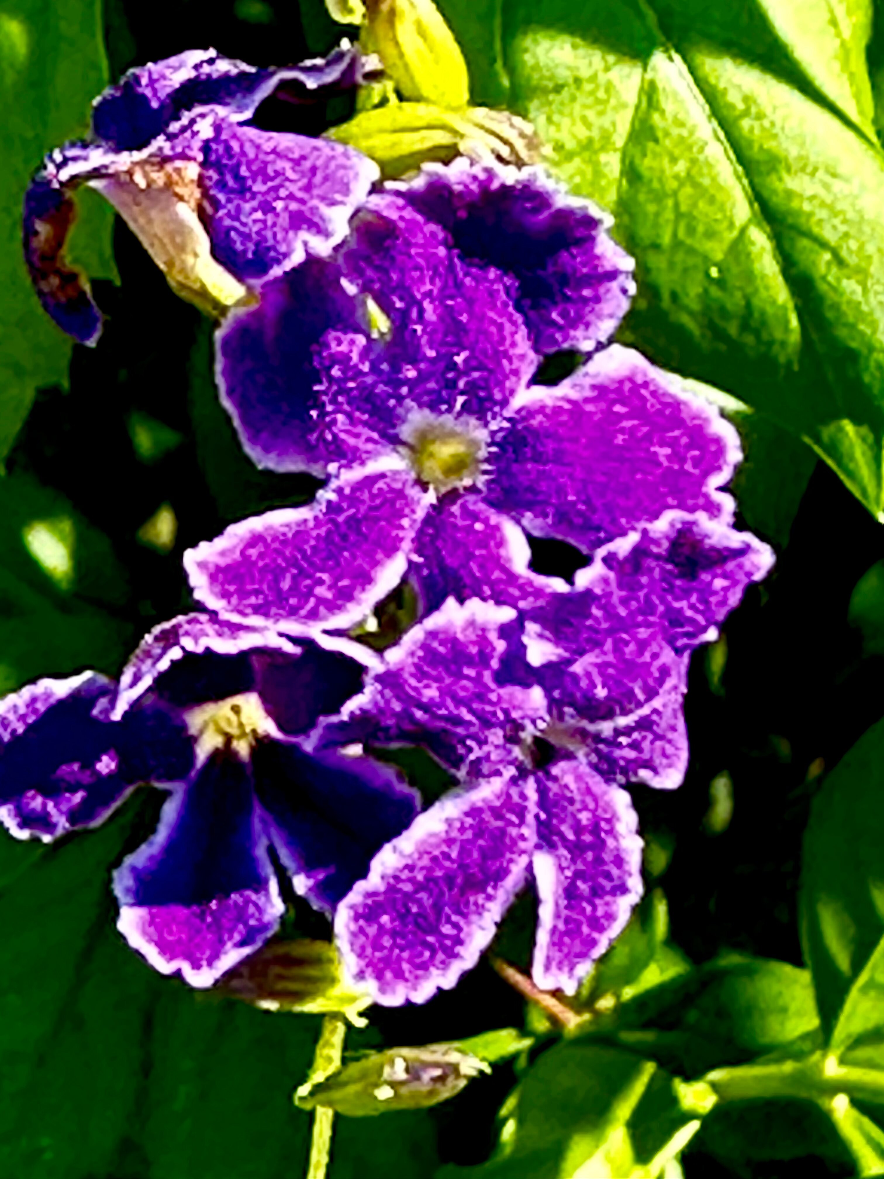 Фото Bao Quynh Bungalow