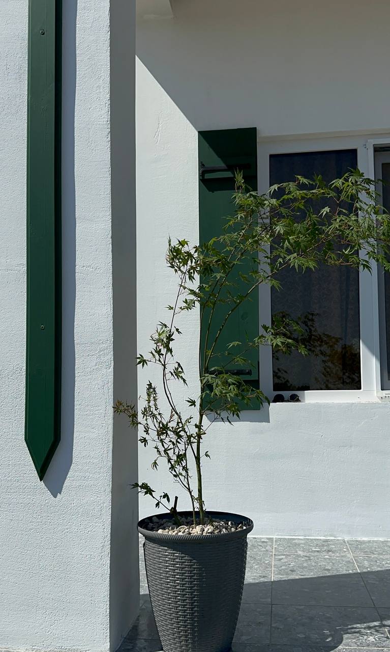 Фото Black River