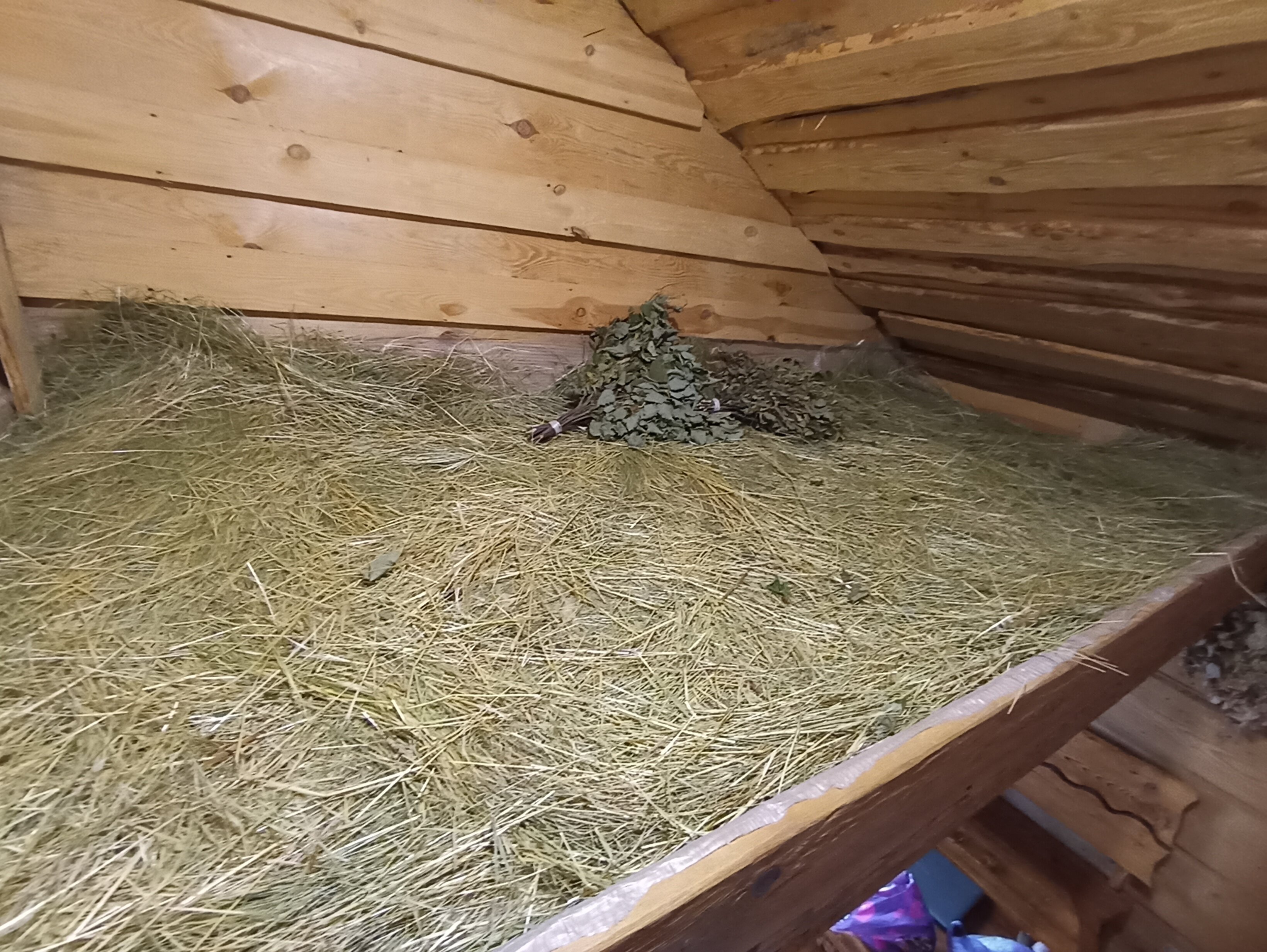 Фото Колодворье