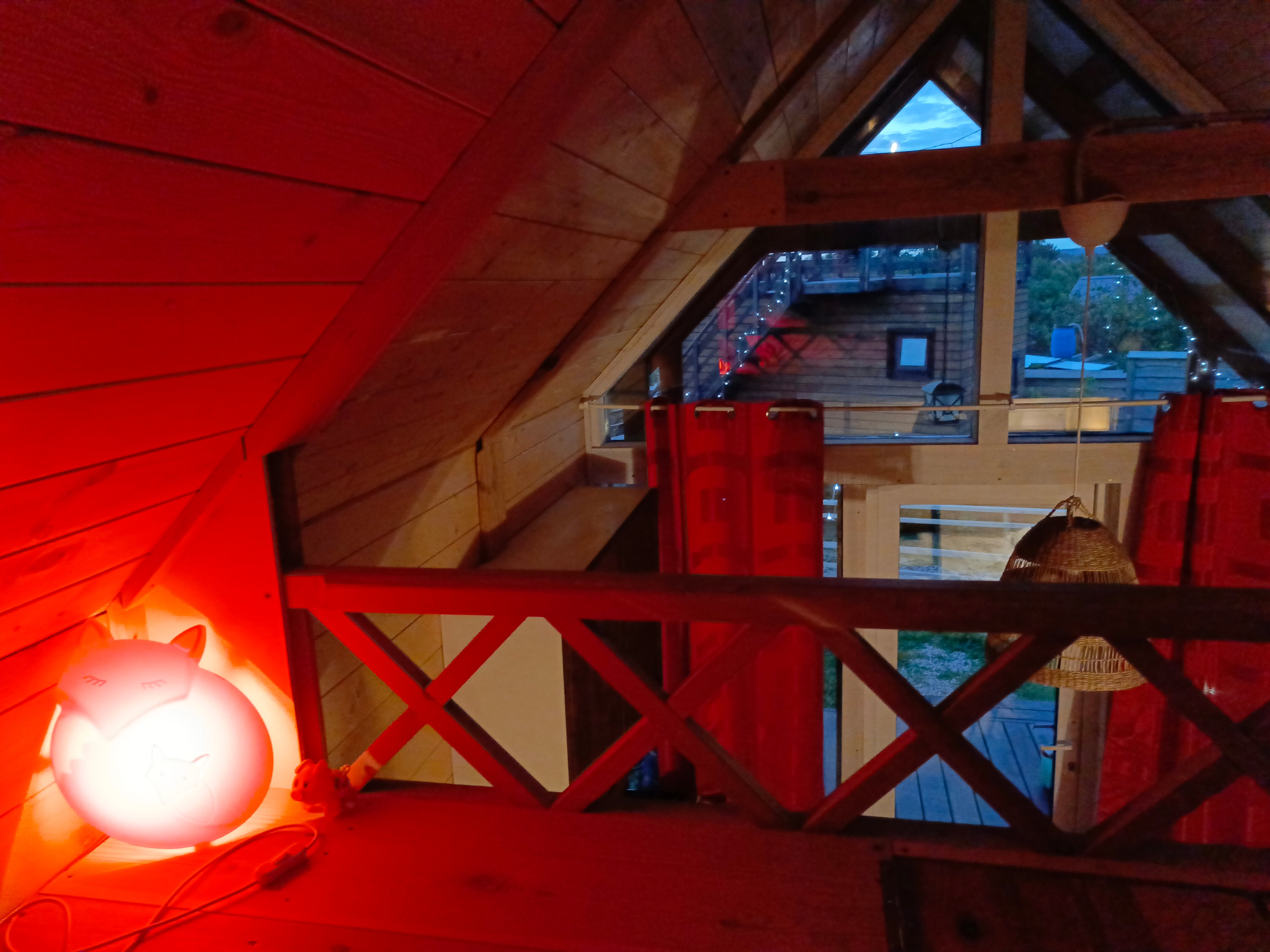 Фото Лисички-сестрички