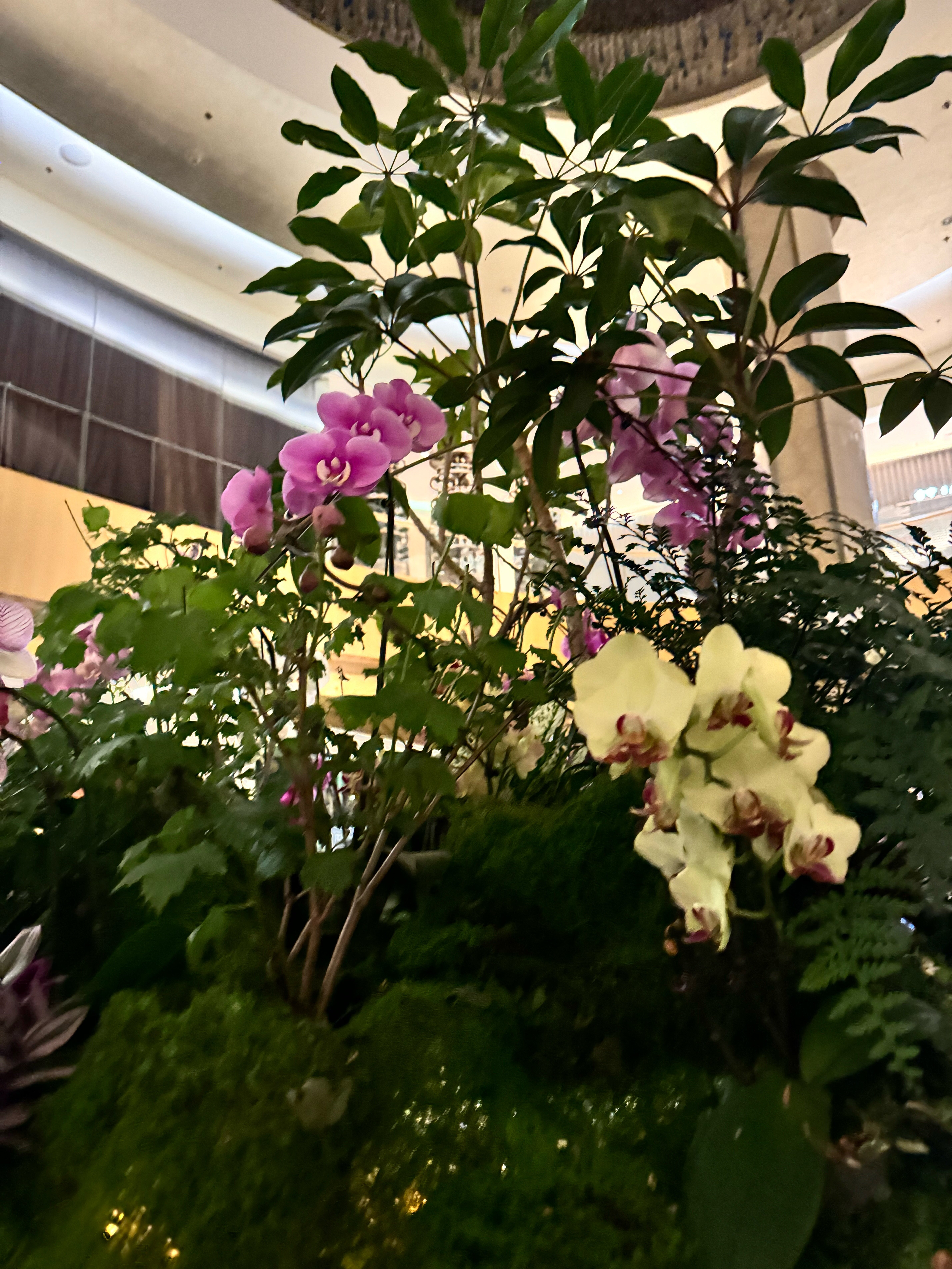 Фото Jw Marriott Hotel Beijing