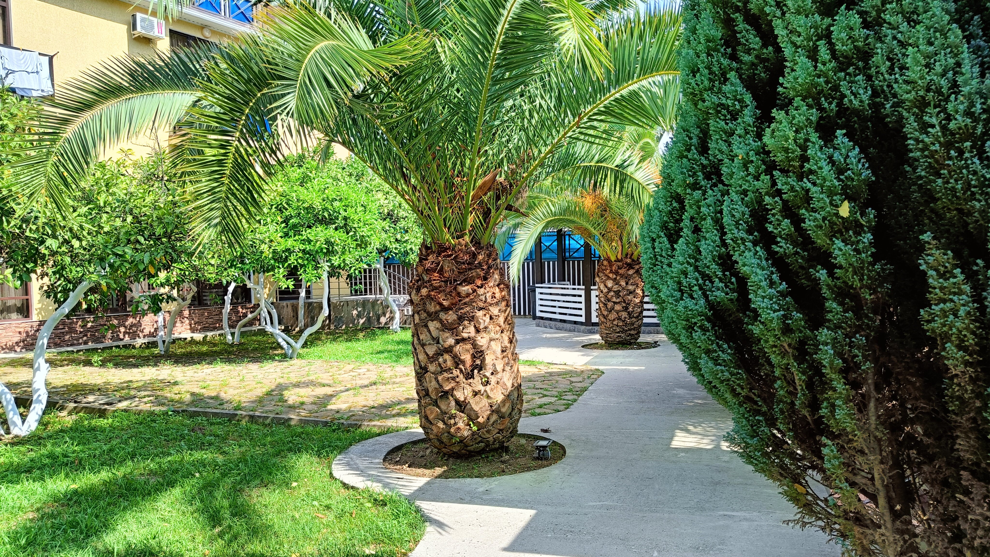 Фото Гостевой дом Данелян