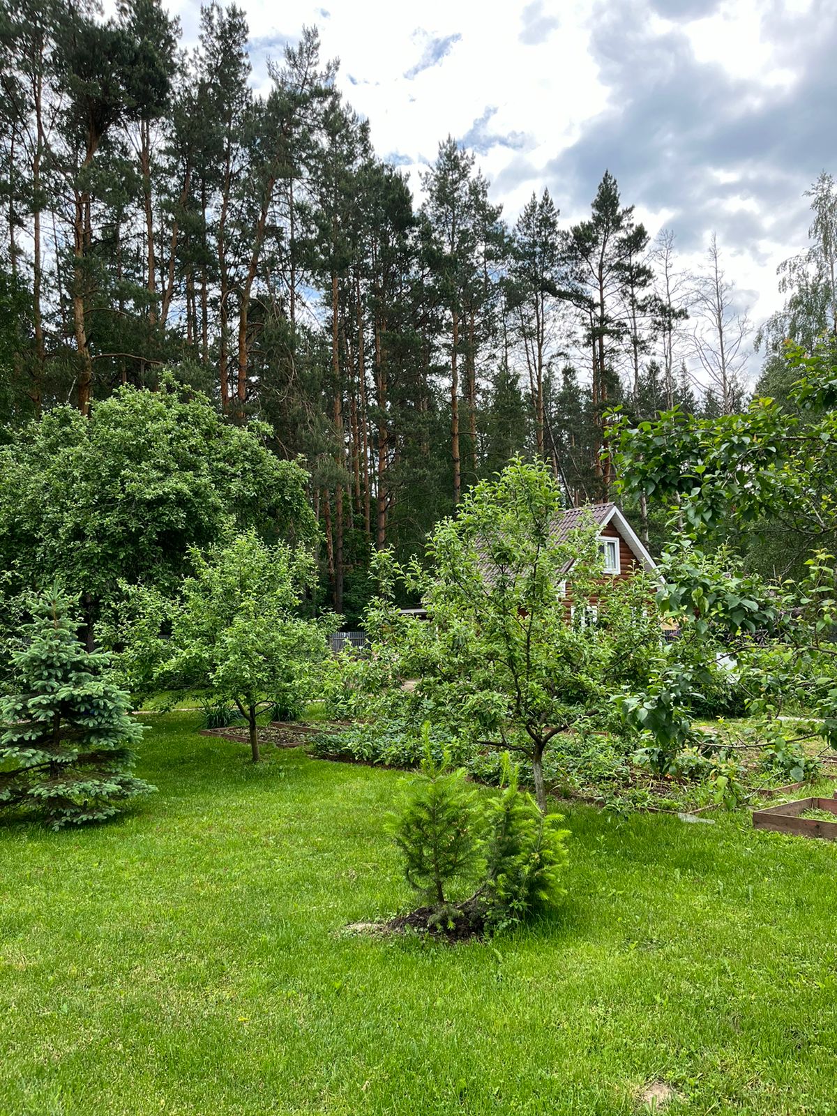 Фото Оптинадом