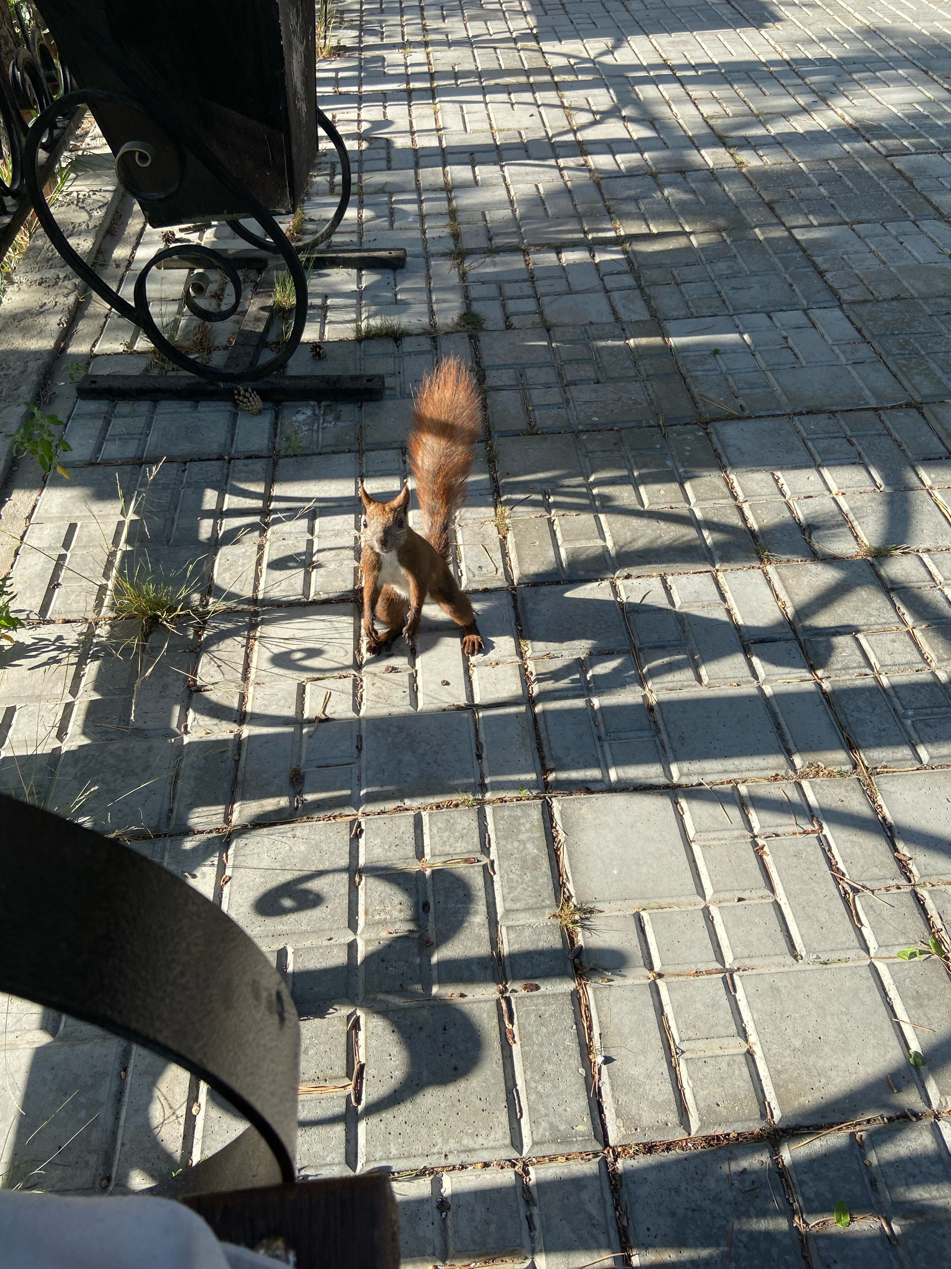 Фото Ренабо