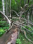 Стрельбище (Ulyanovsk Region, Melekesskiy rayon, Tiinskoye selskoye poseleniye) ، نادي رماية