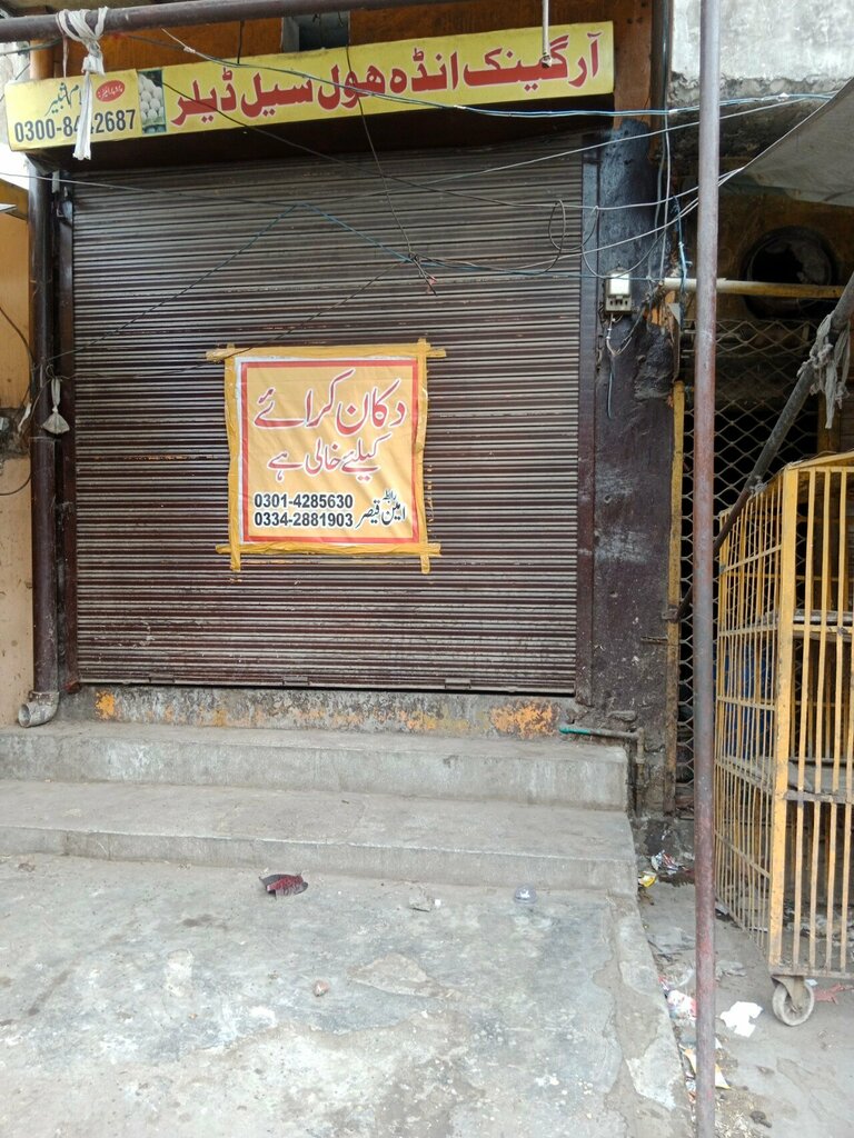 Egg and poultry meat Organic Egg Wholesale Dealer, Lahore, photo