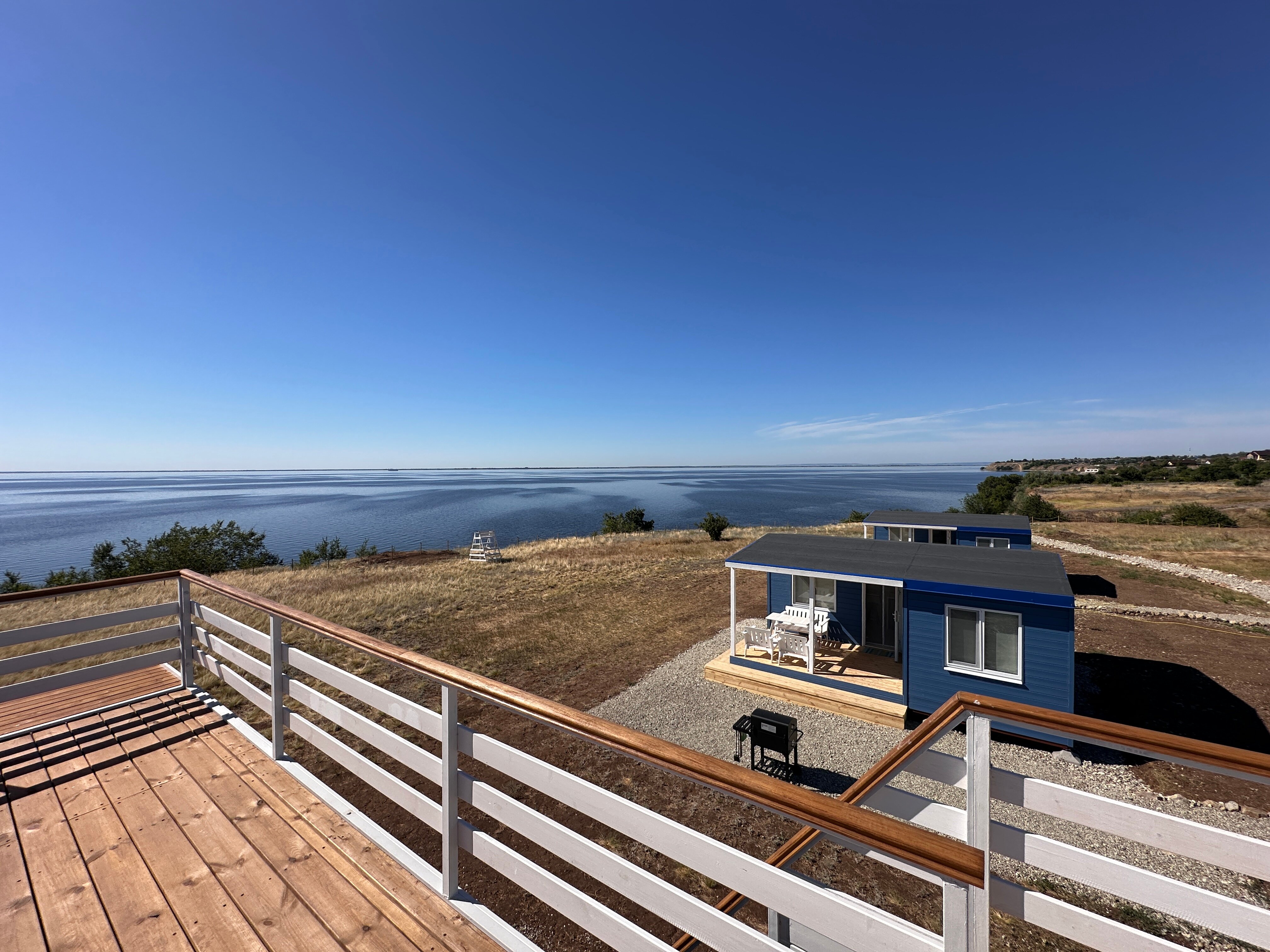 Фото Полынь