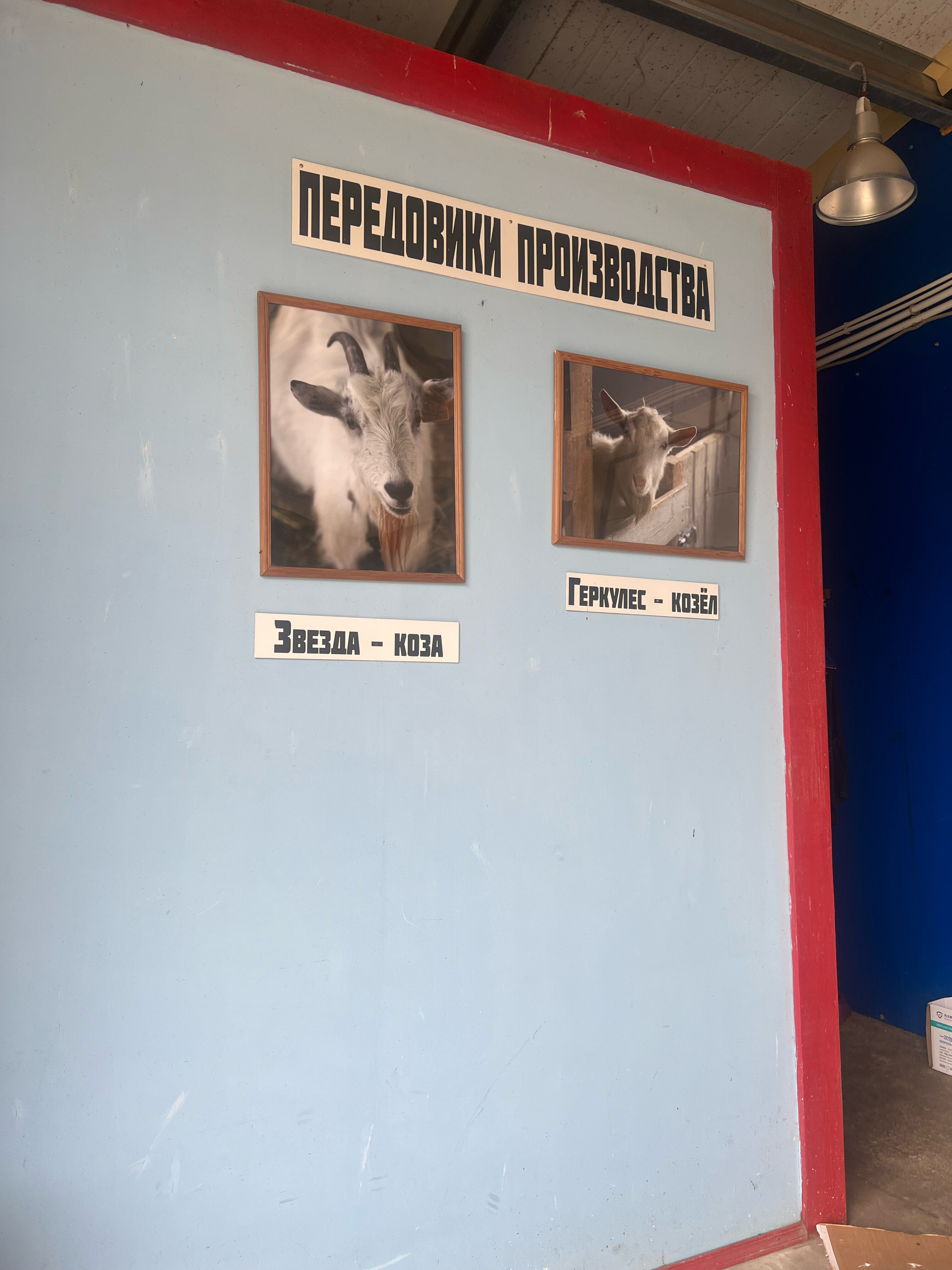 Фото Экоферма Александровский спас