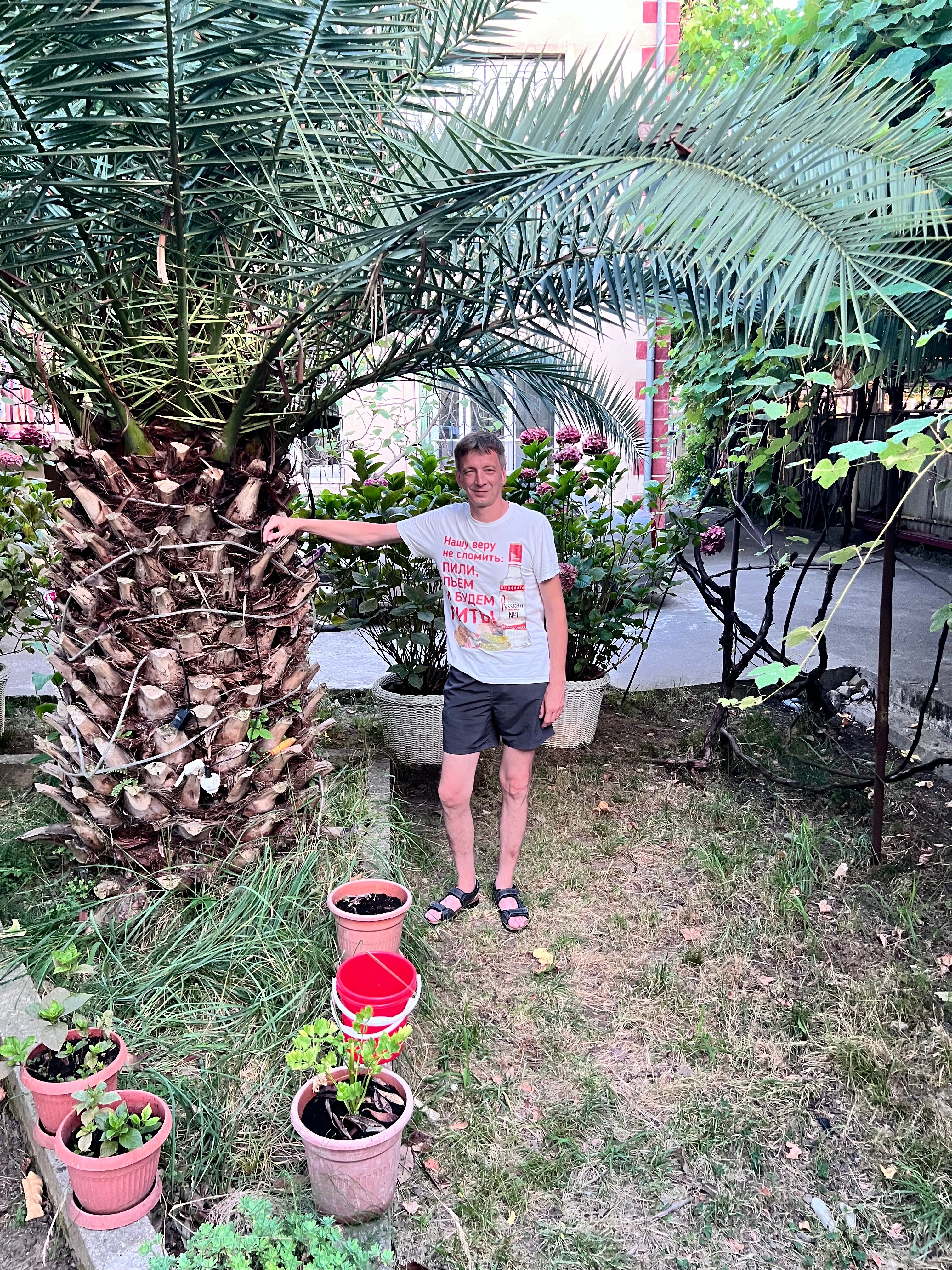 Фото Гостевой дом Фиеста