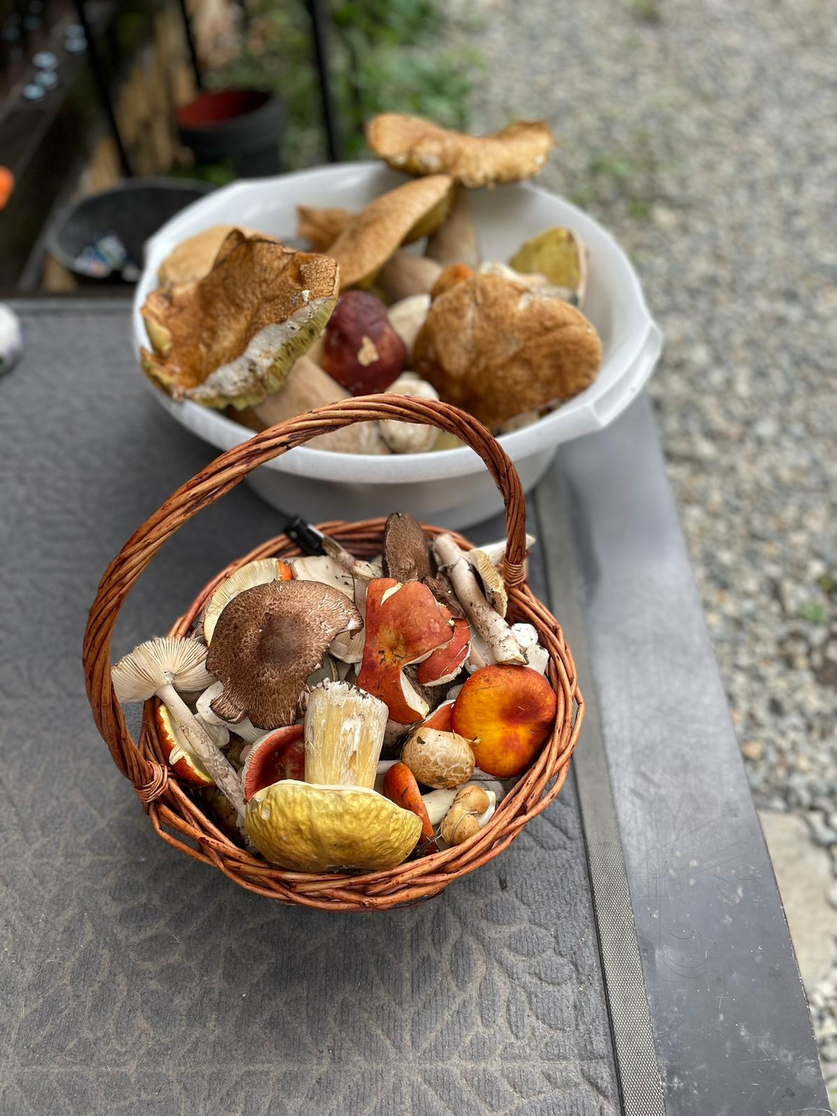 Фото Архыз-Глэмп