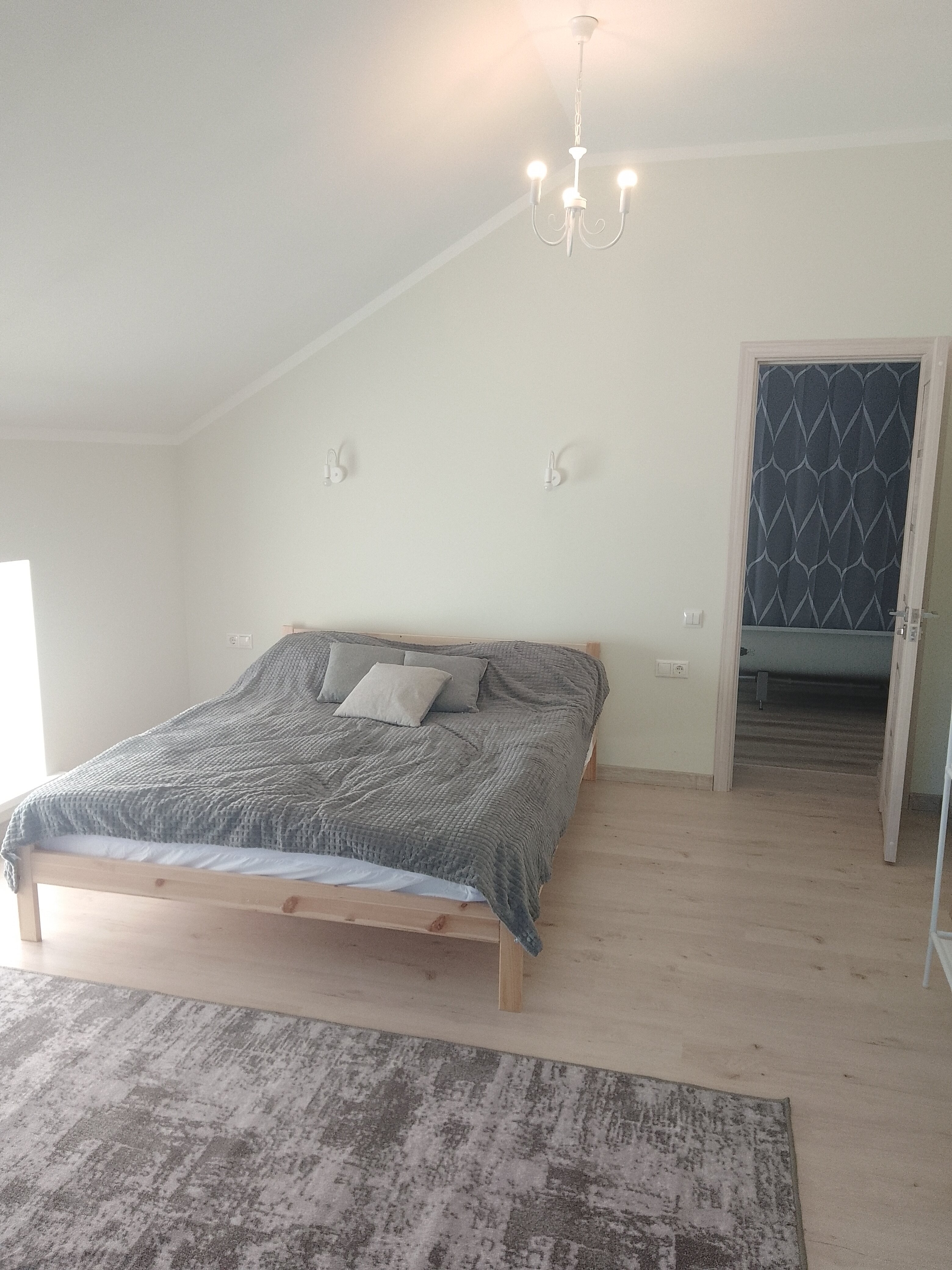 Фото Хитрый Лис