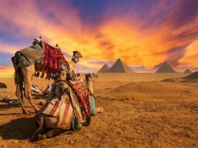 Travel agency Tatilmaps , Konya, photo