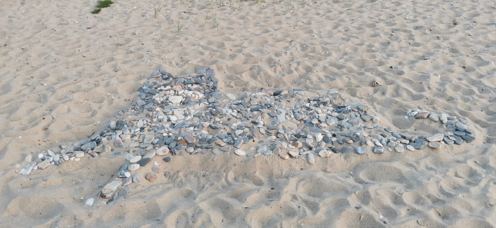 Фото СаМиТа