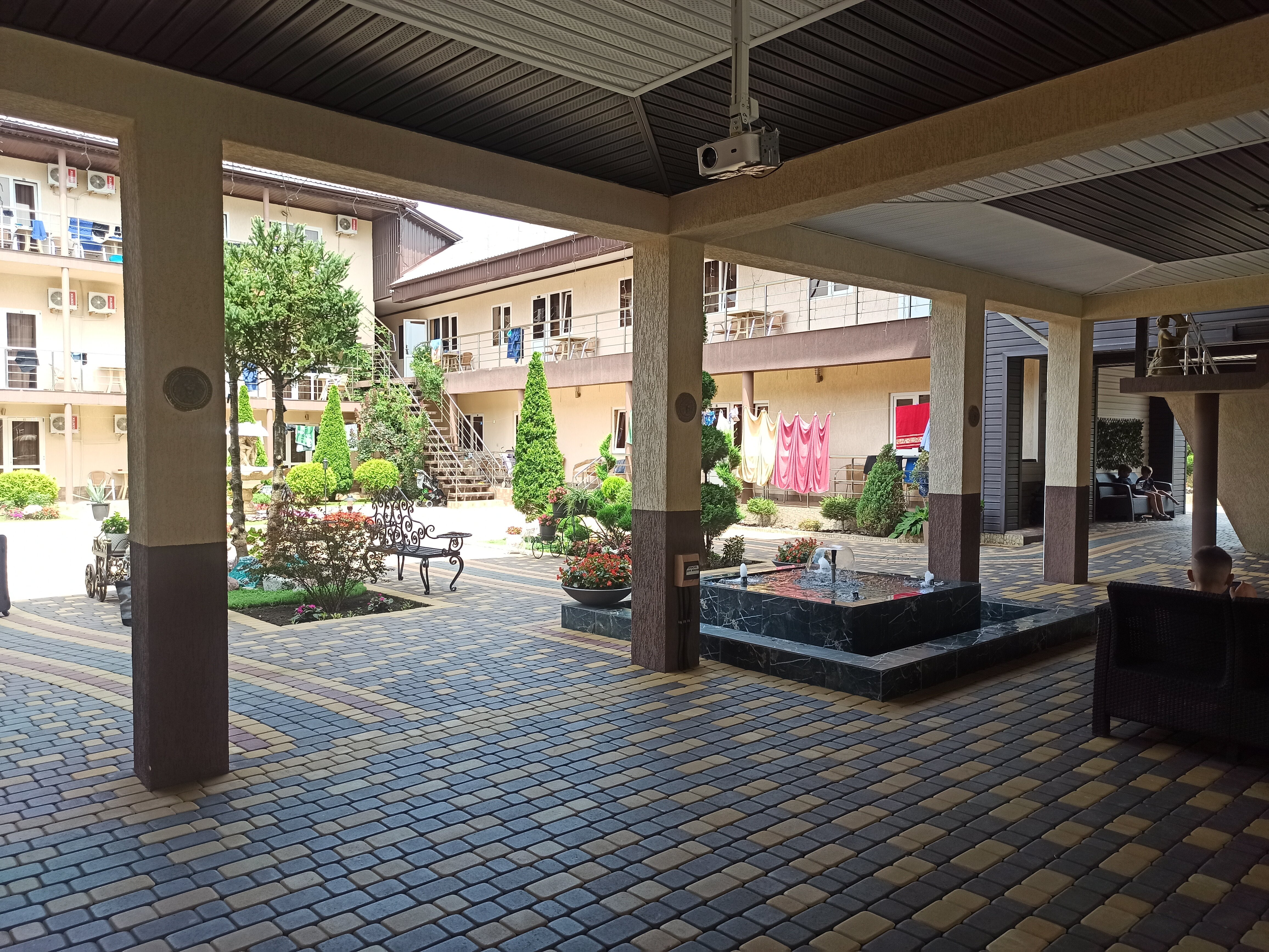 Фото Анютины Глазки