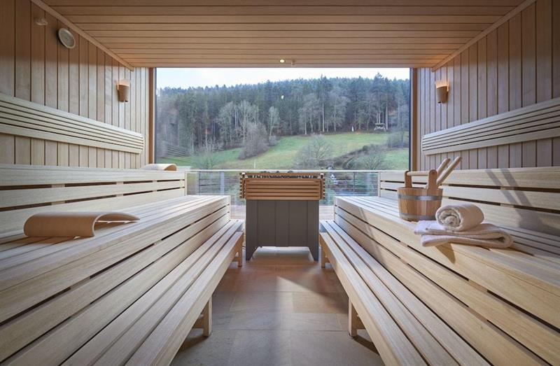 Фото Hotel Therme Bad Teinach