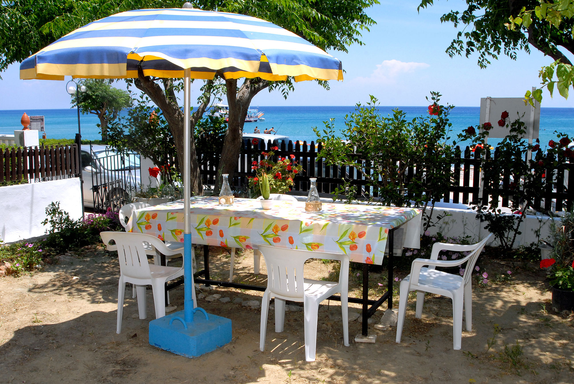 Фото Stegna Ilion