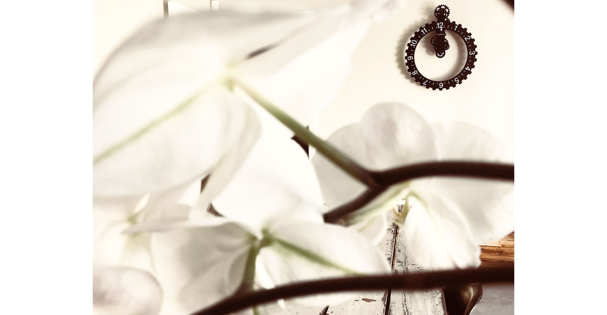 Фото Purple House