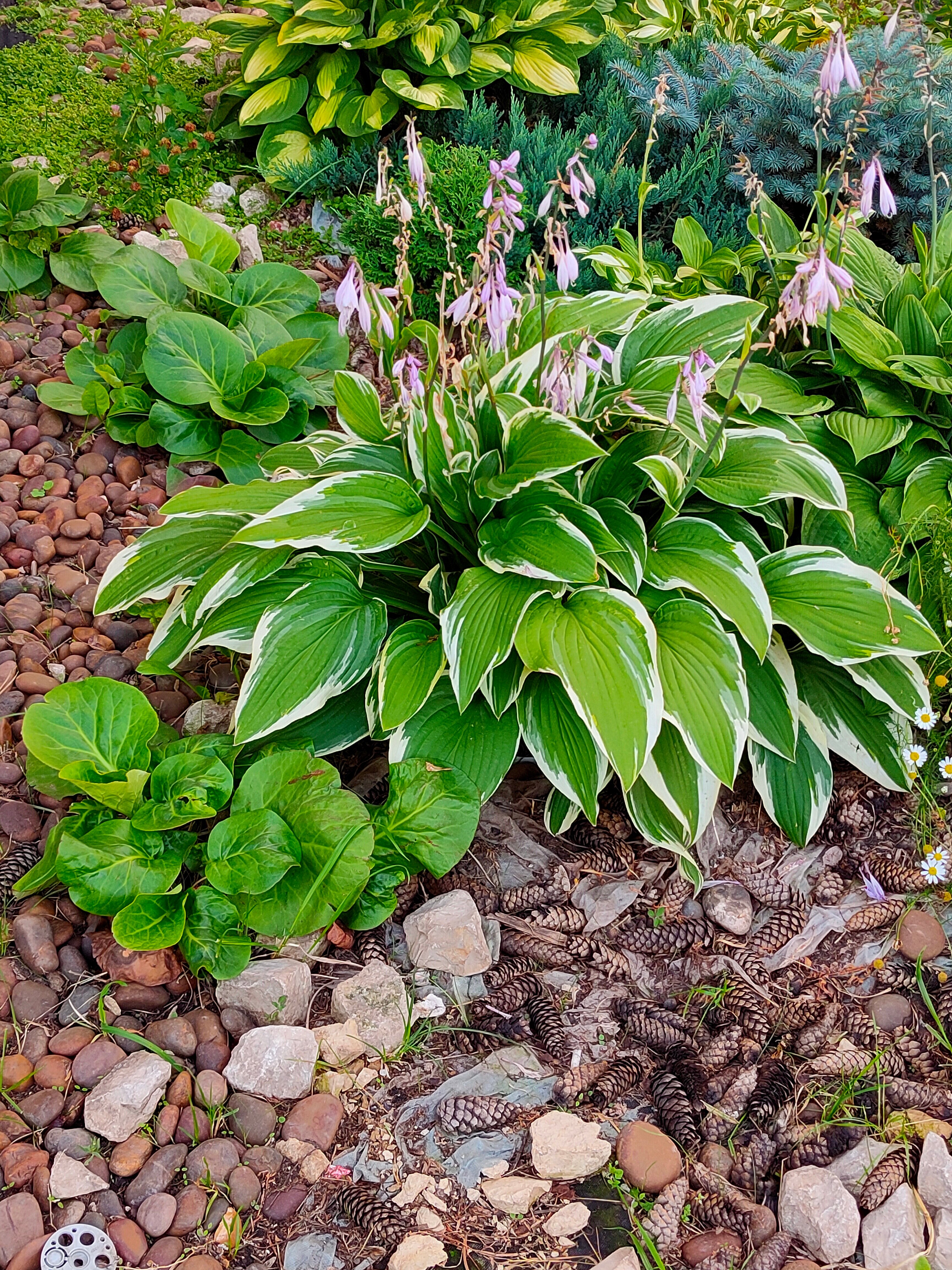 Фото Фрунзенец