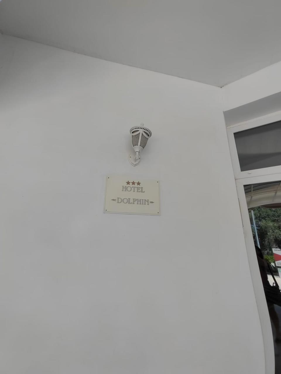 Фото Дельфин