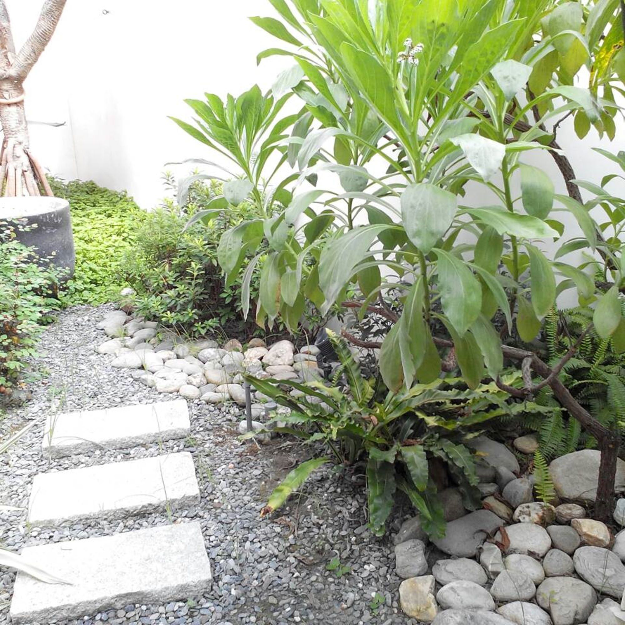 Фото All-Ur Boutique Motel - Tai-Tung Branch