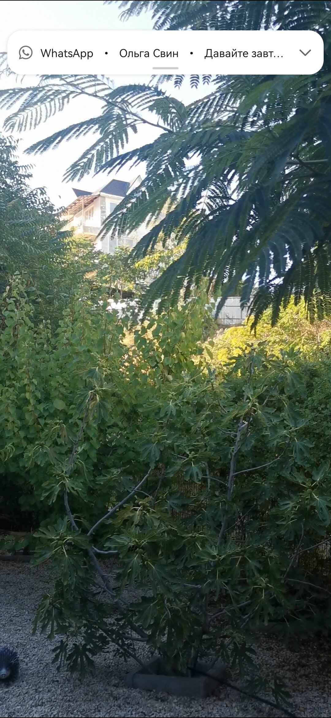 Фото Баловень судьбы