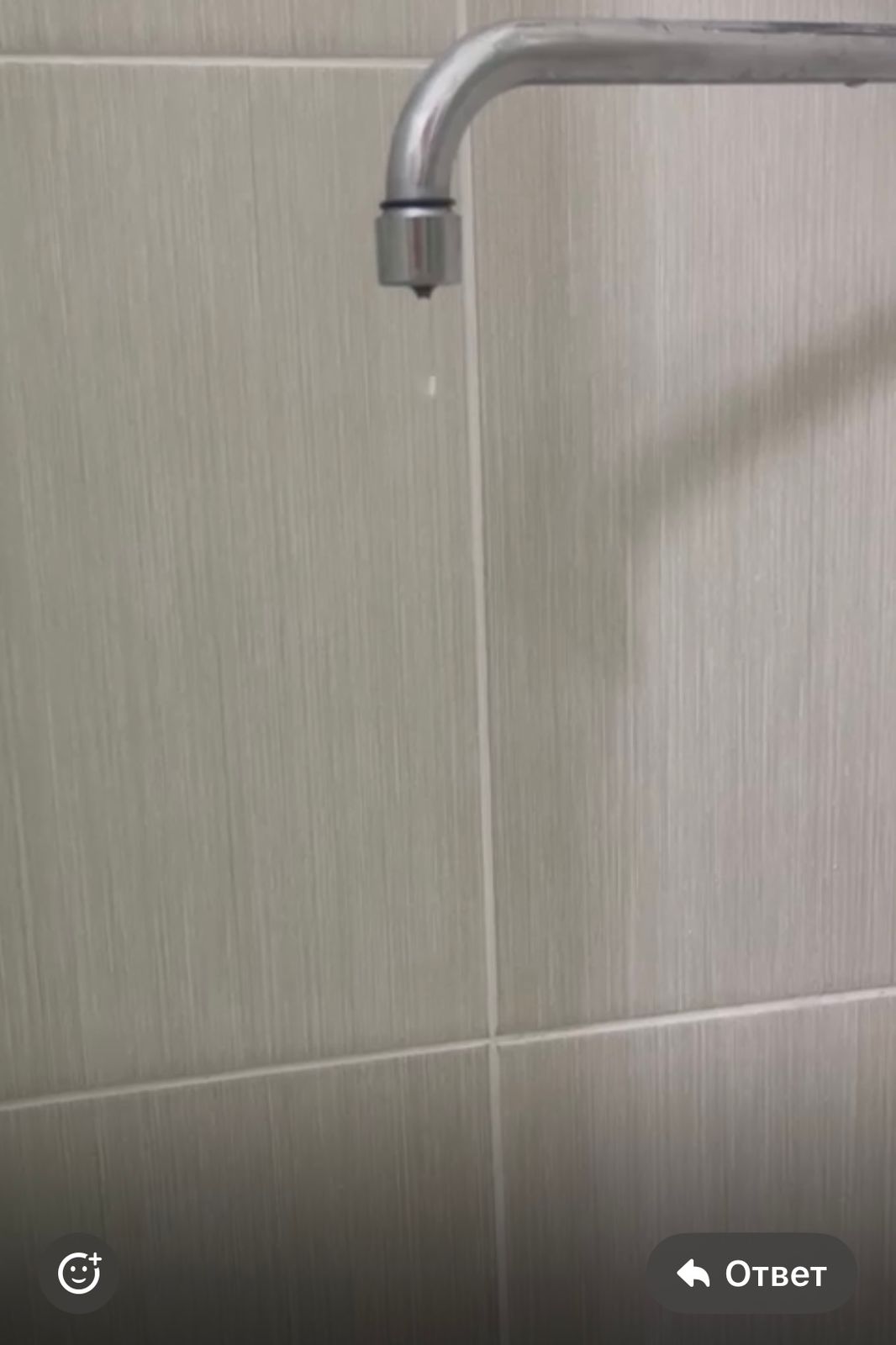 Фото Жемчужина Сочи