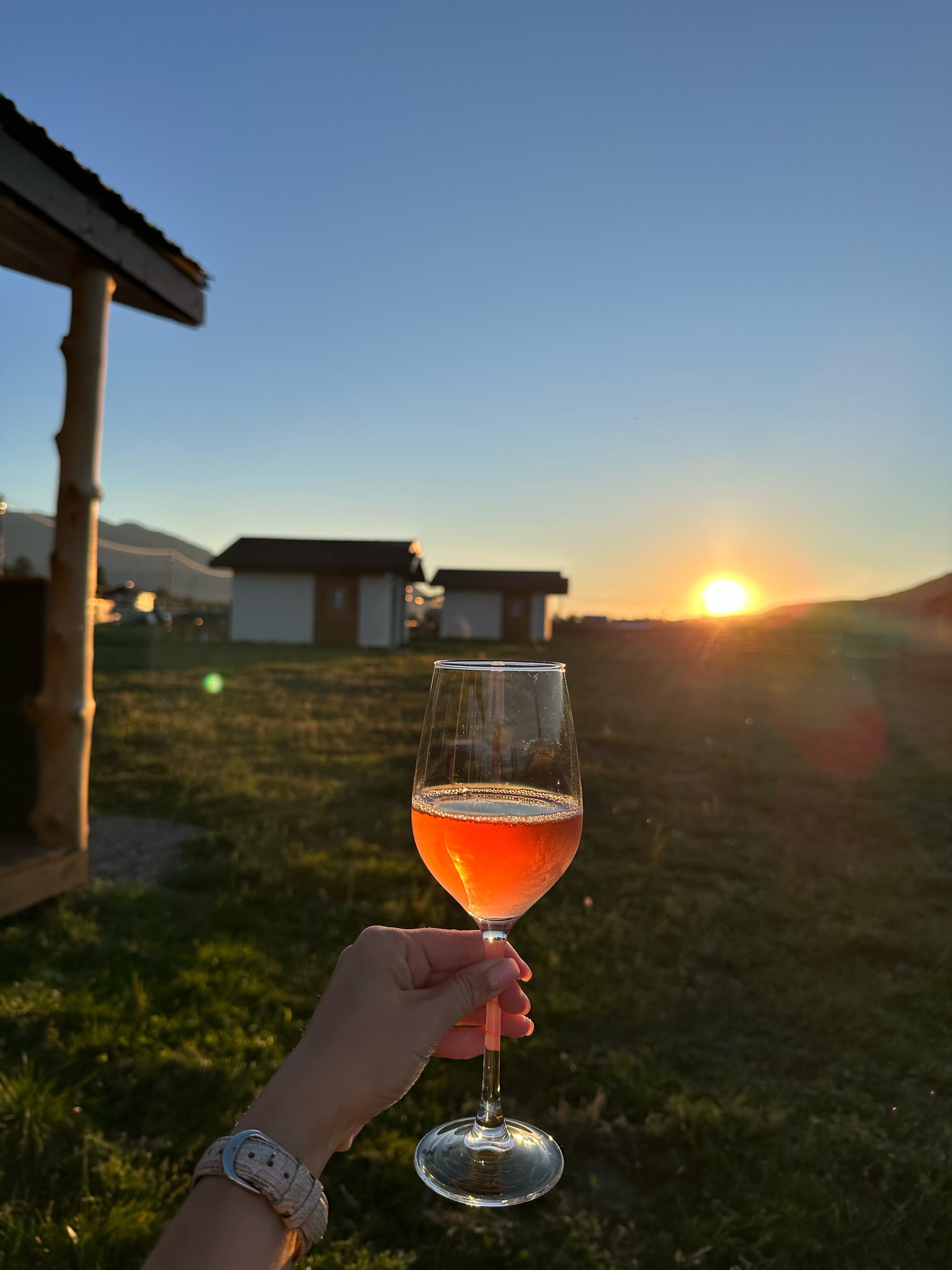 Фото Медуница