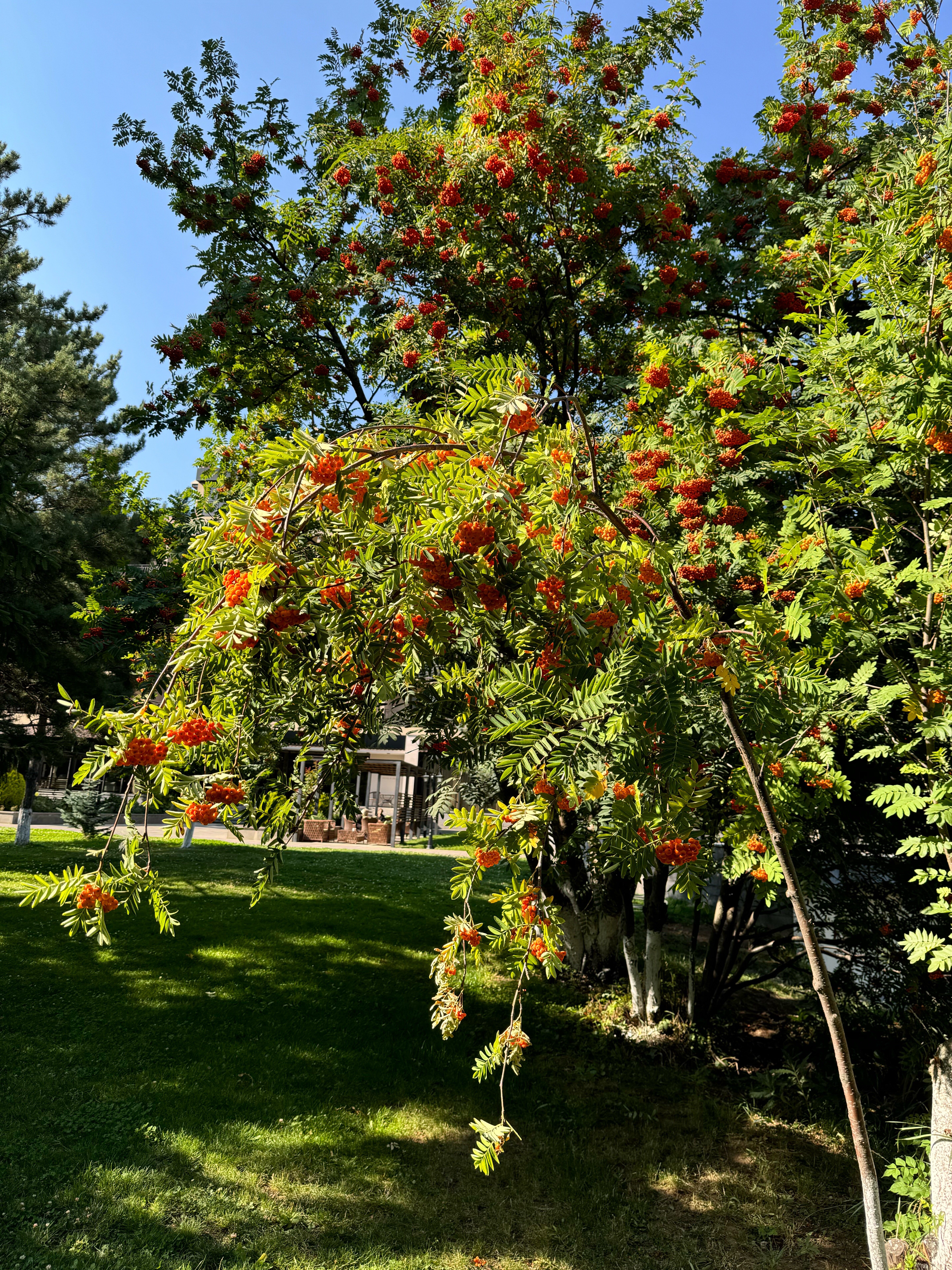 Фото Jermuk Hotel & SPA