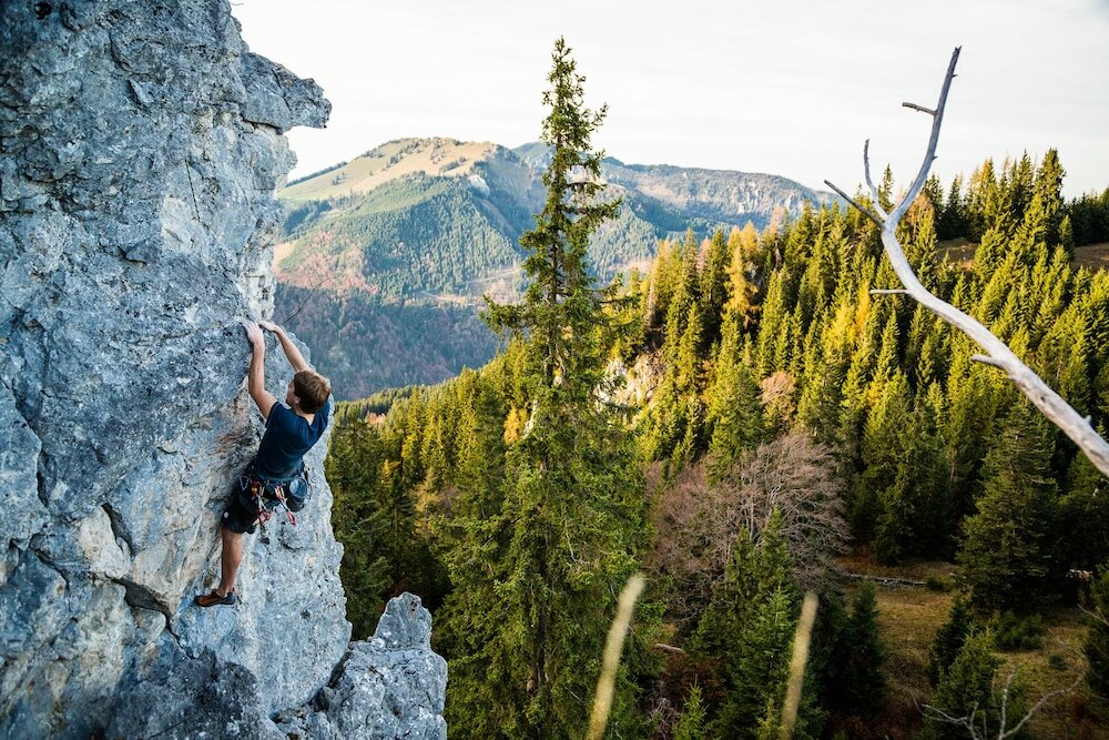 Фото HELDs Vitalhotel