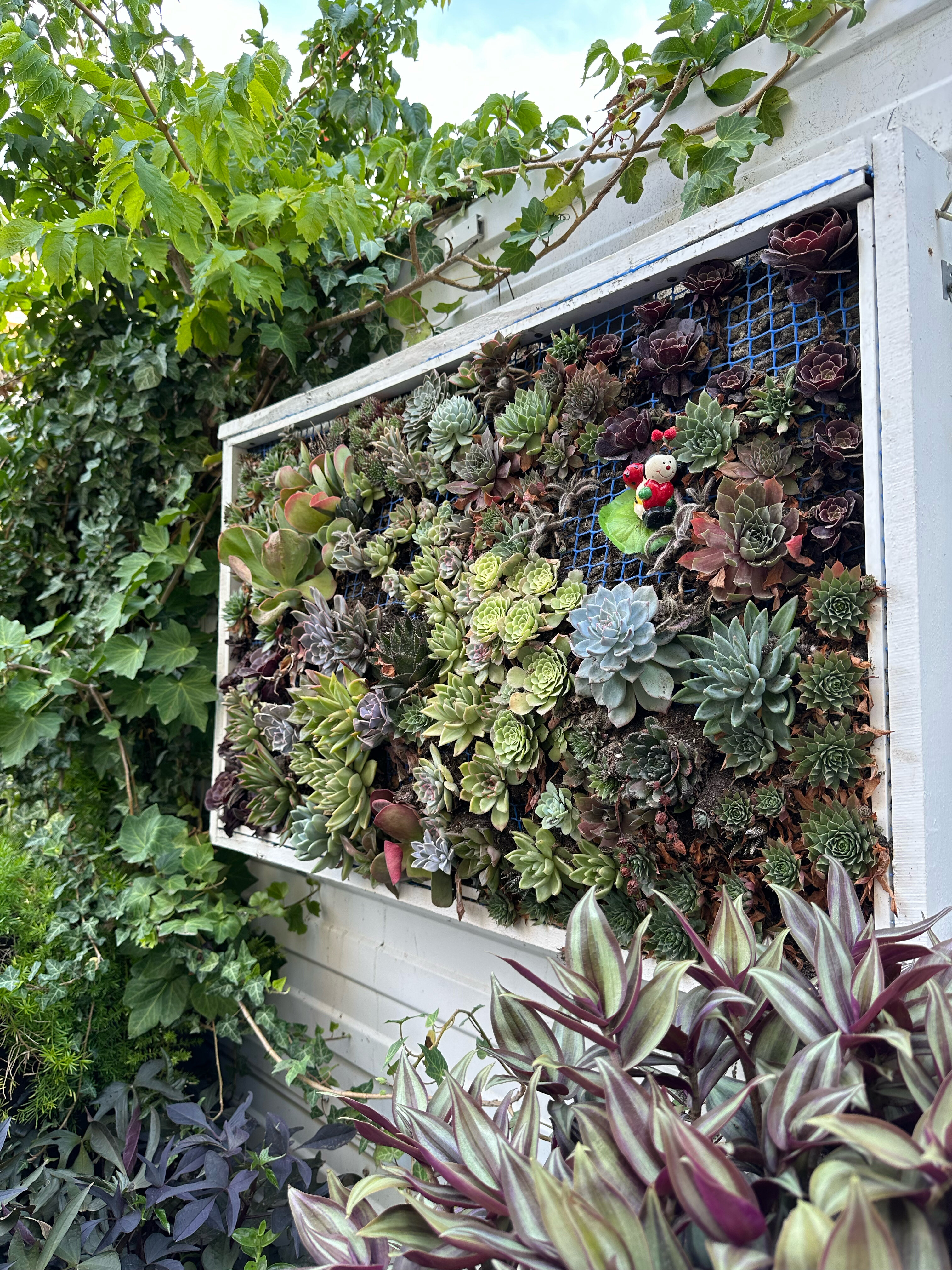 Фото Аква-Солярис