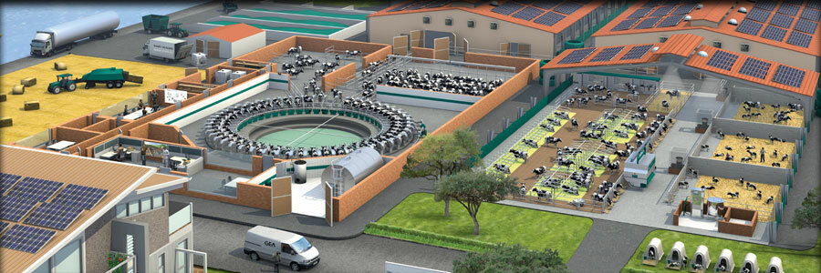 Intensive animal farming Ak-Farm, Ankara, photo