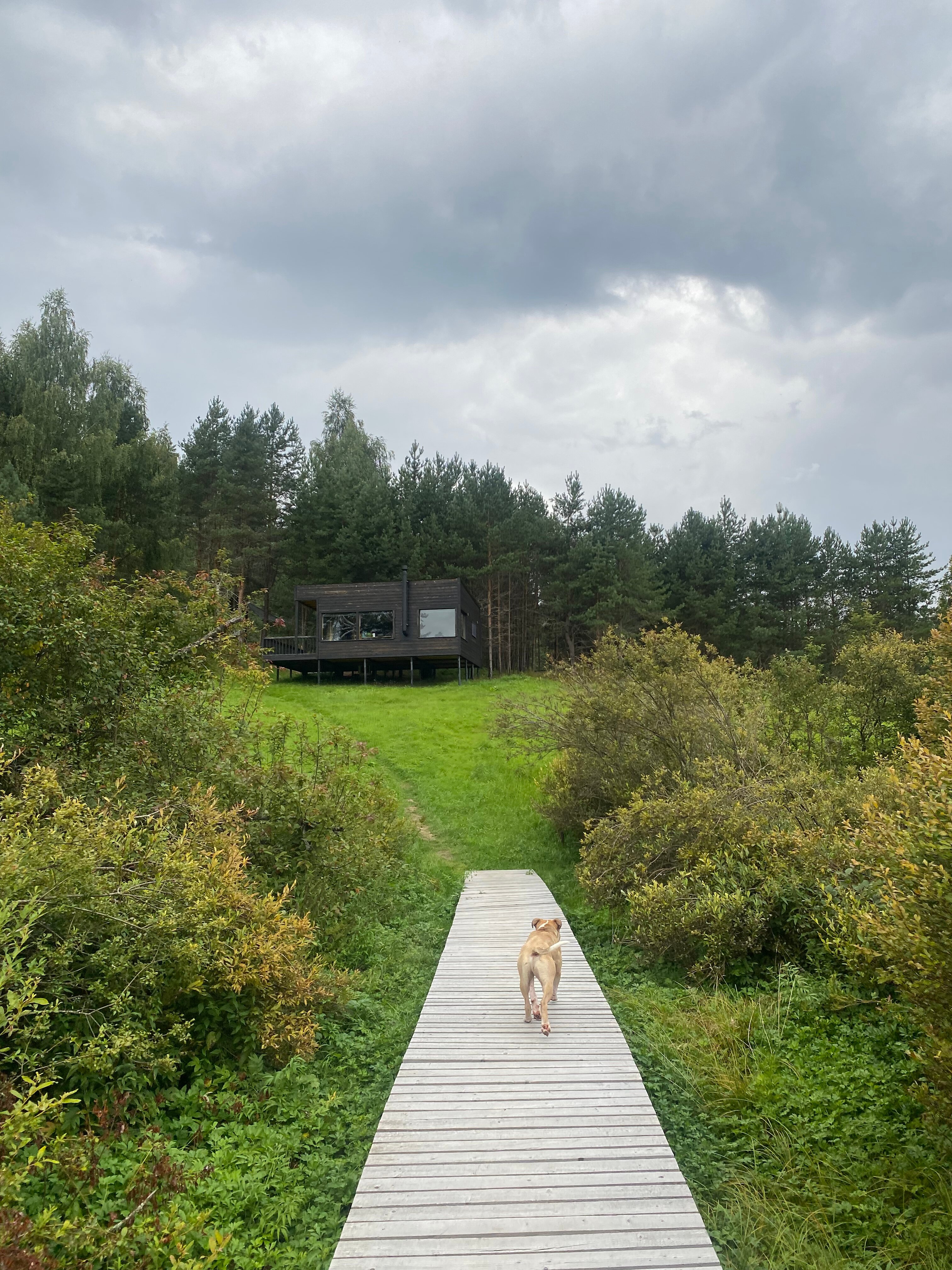 Фото Дом в лесу Холмово