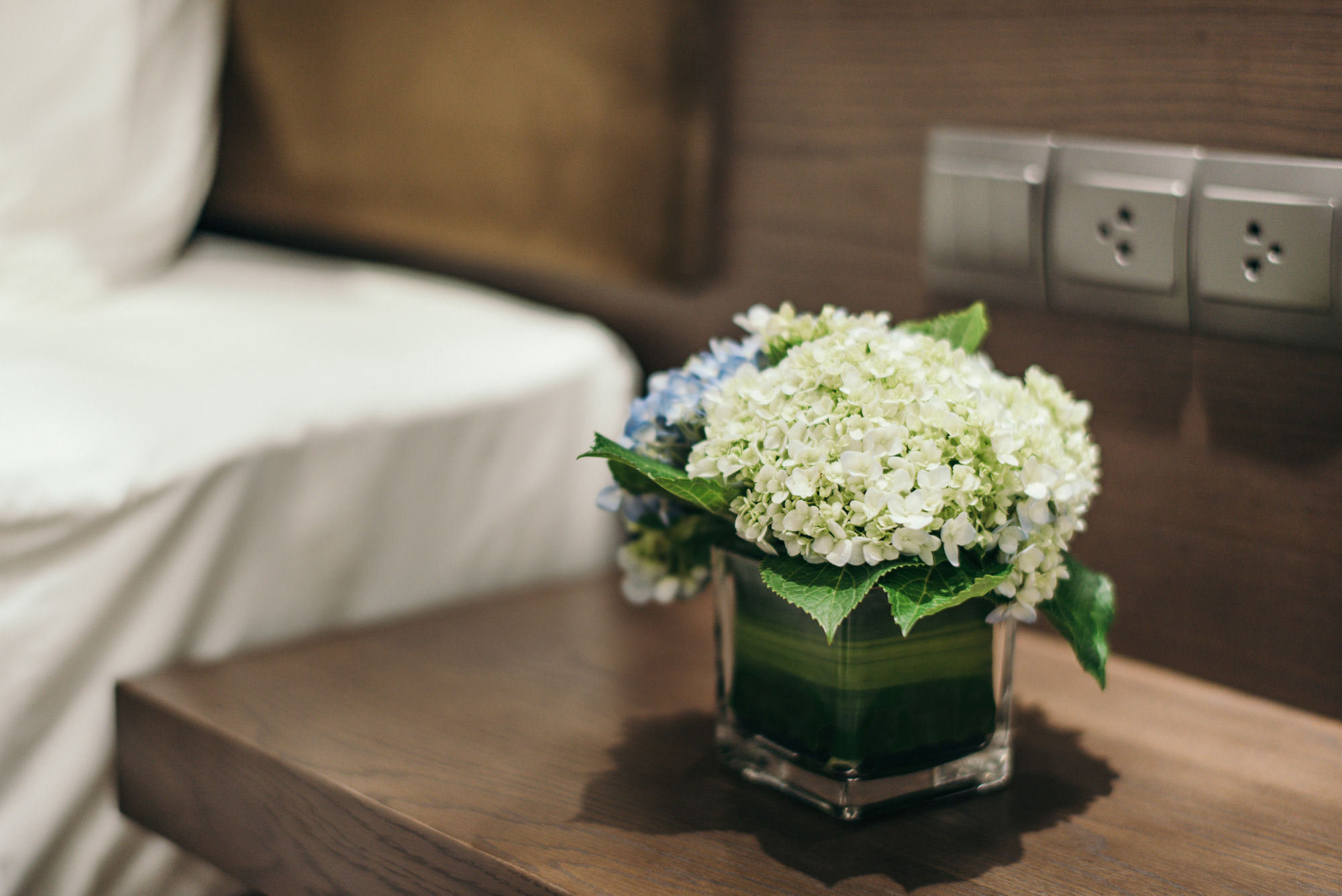 Фото Malibu Beach Hotel