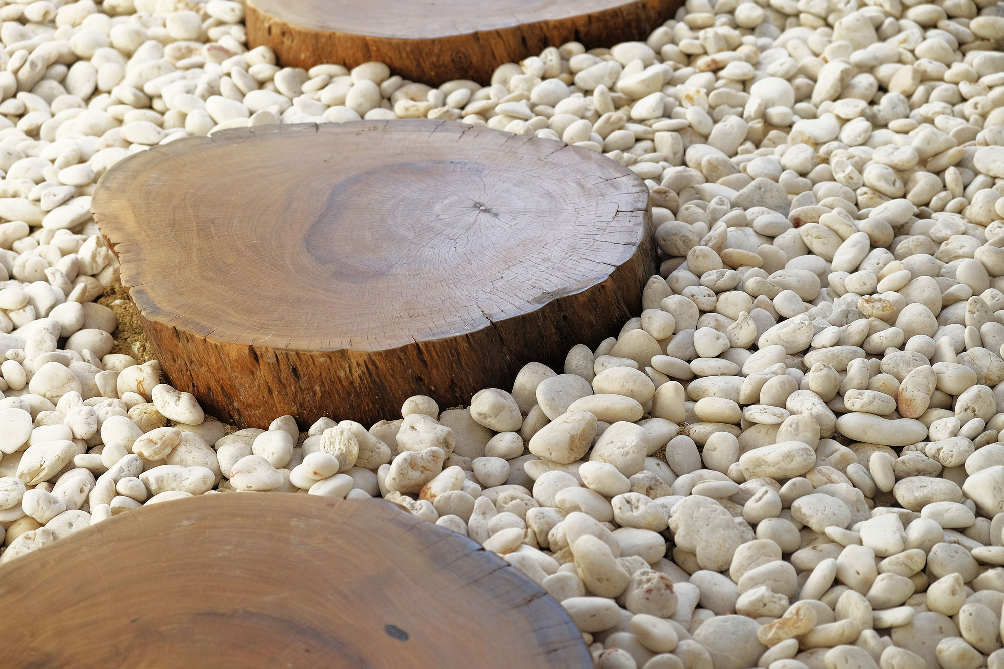 Фото Tapae Gate Villa