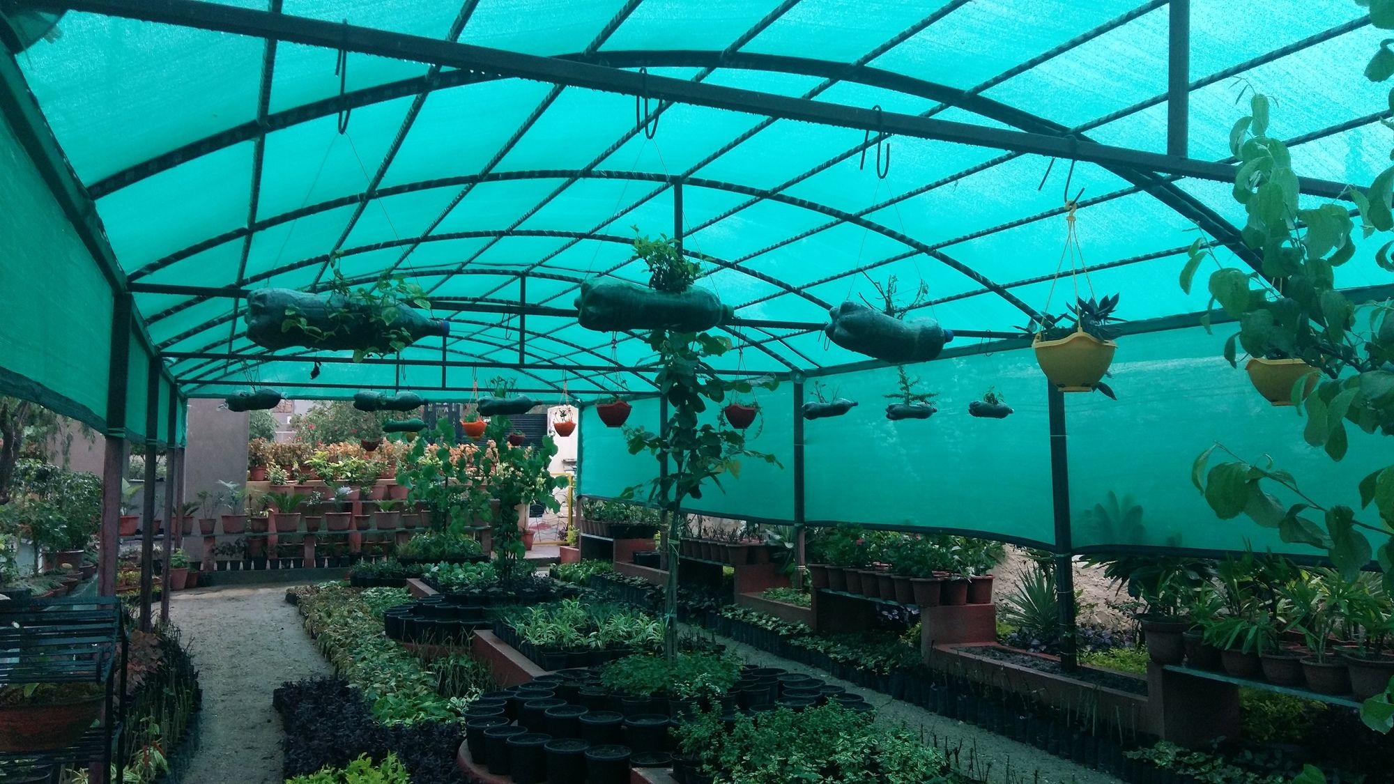 Фото Mulberry Araliayas Resort & SPA