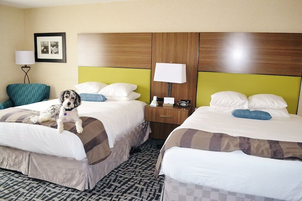 Фото Best Western DuBois Hotel