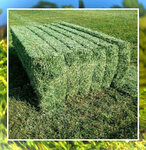 Ozkarslioglu Agriculture (Kayseri, Kocasinan District, Gevher Nesibe Mah., Okur Sok., 16) ، المشاريع الزراعية