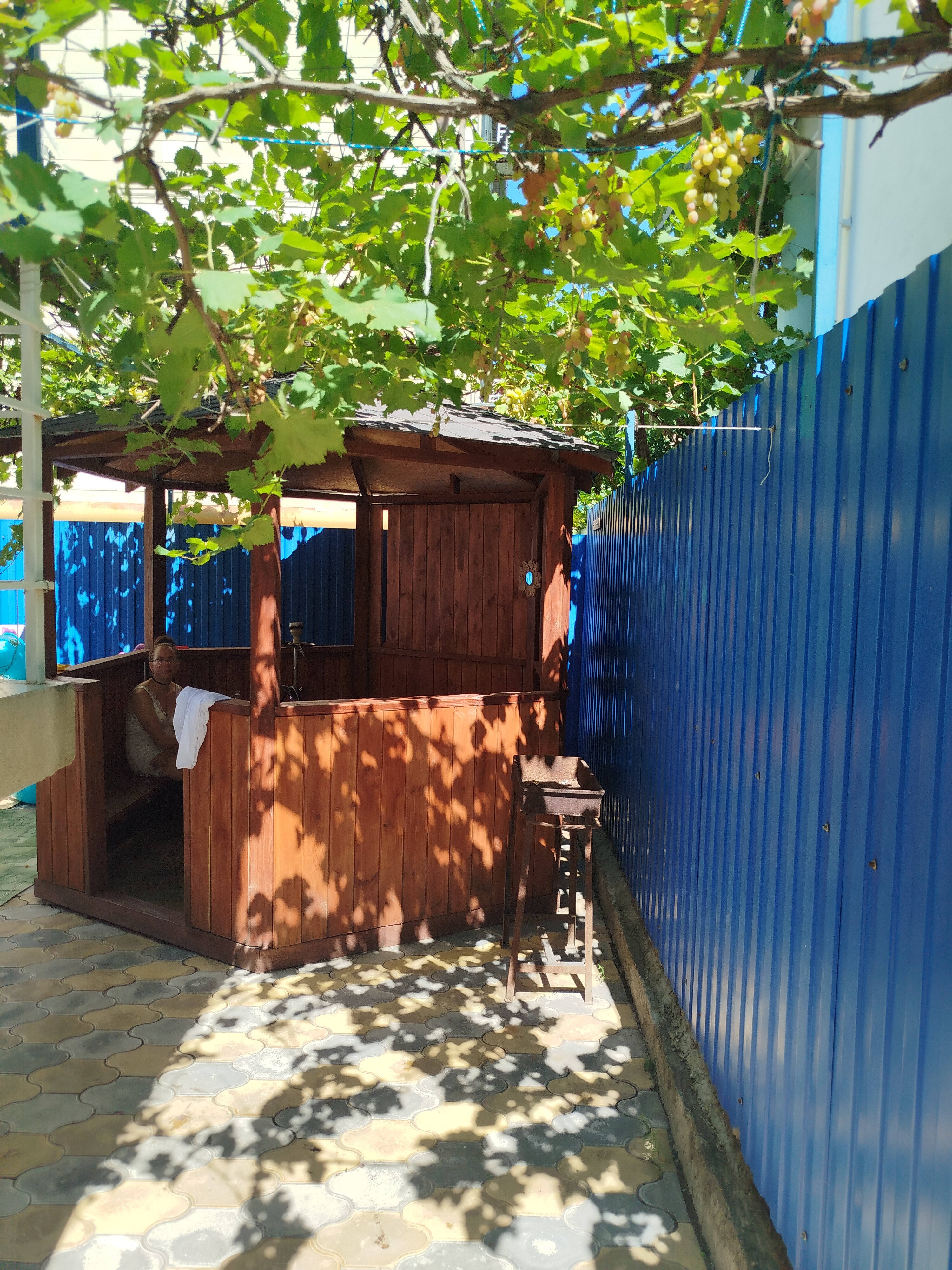 Фото Афалина