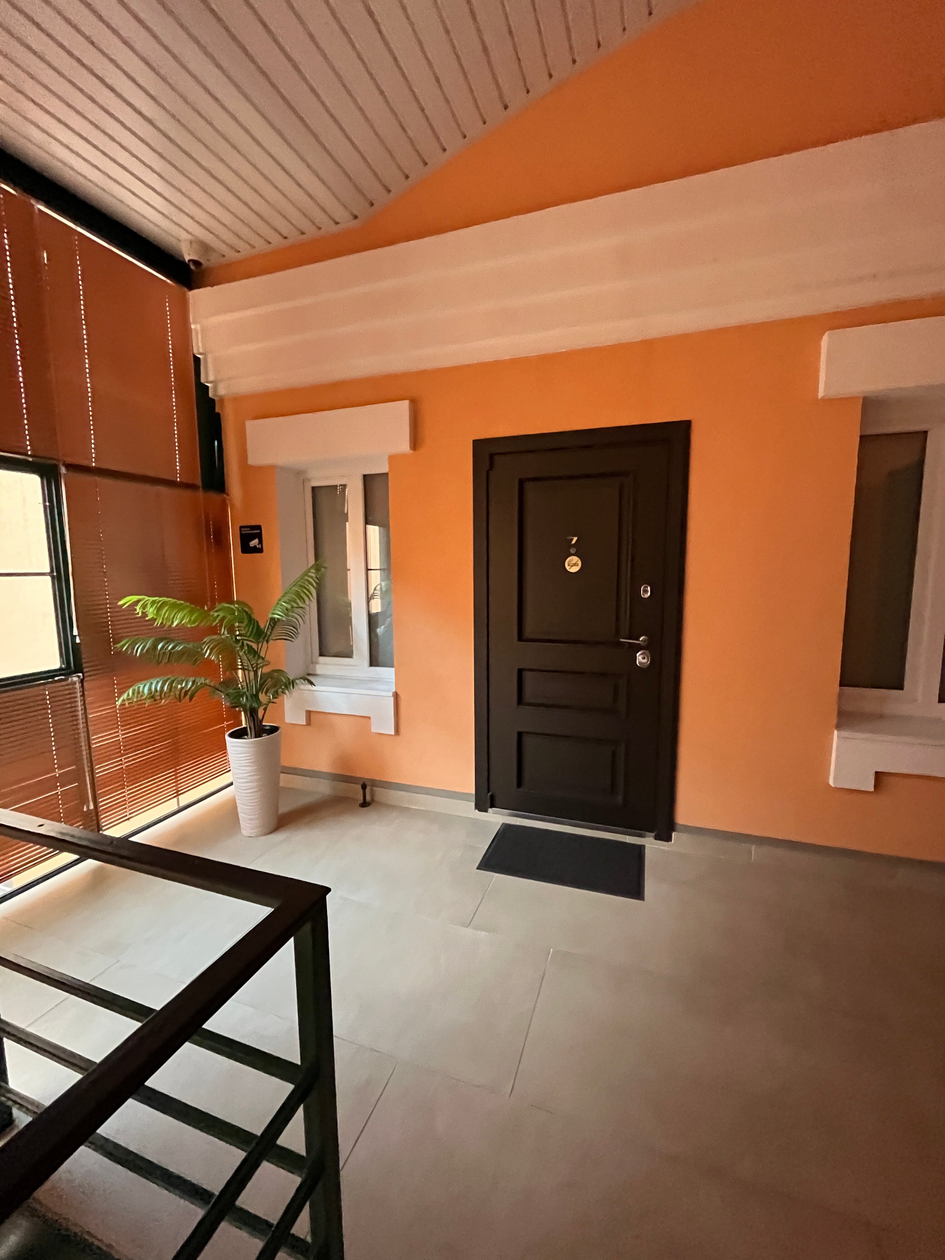 Фото Пальма