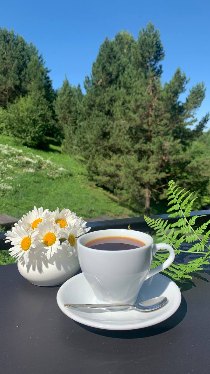 Фото Белкин дом