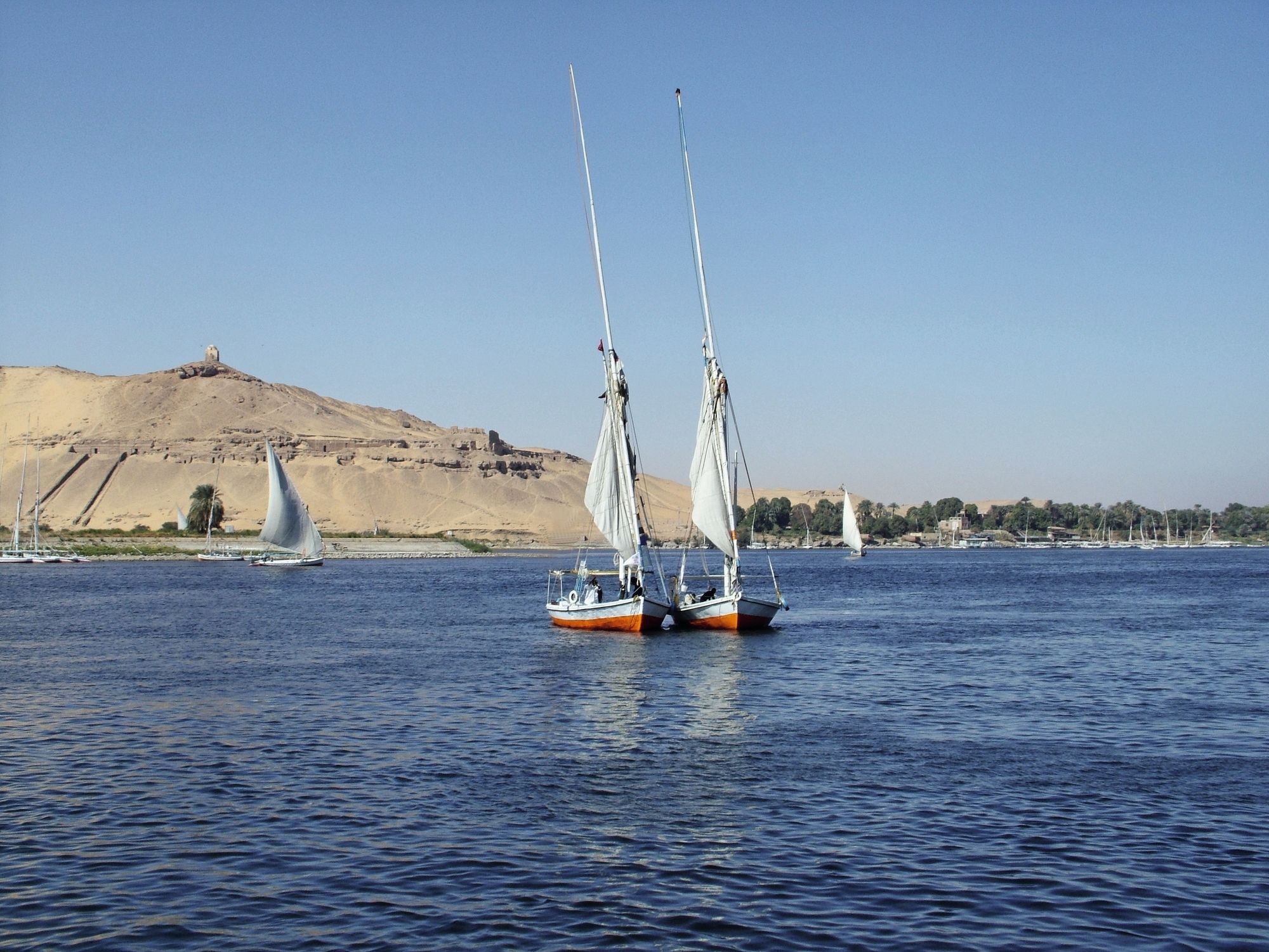 Фото Movenpick Resort Aswan