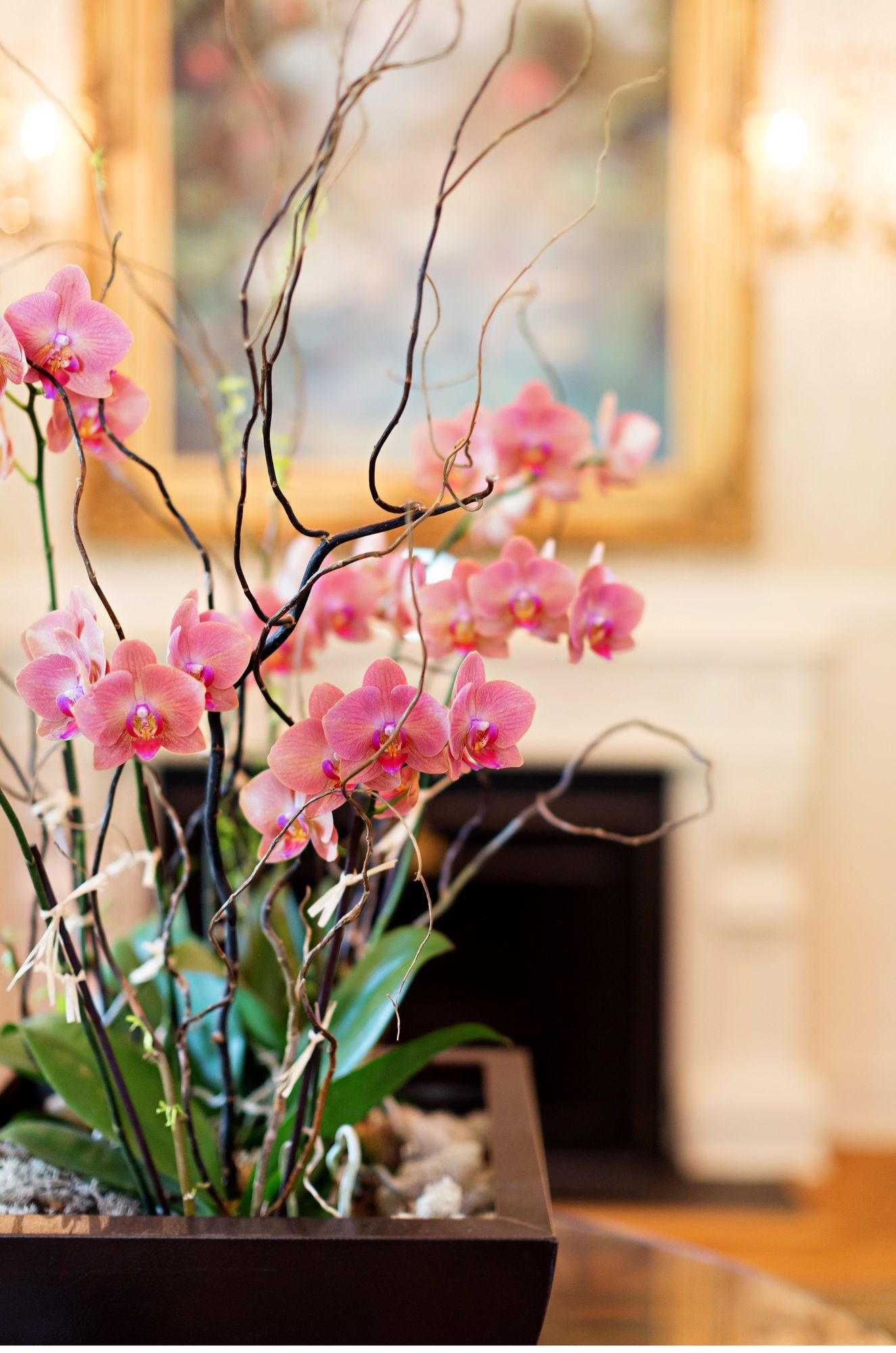 Фото The Chanler at Cliff Walk